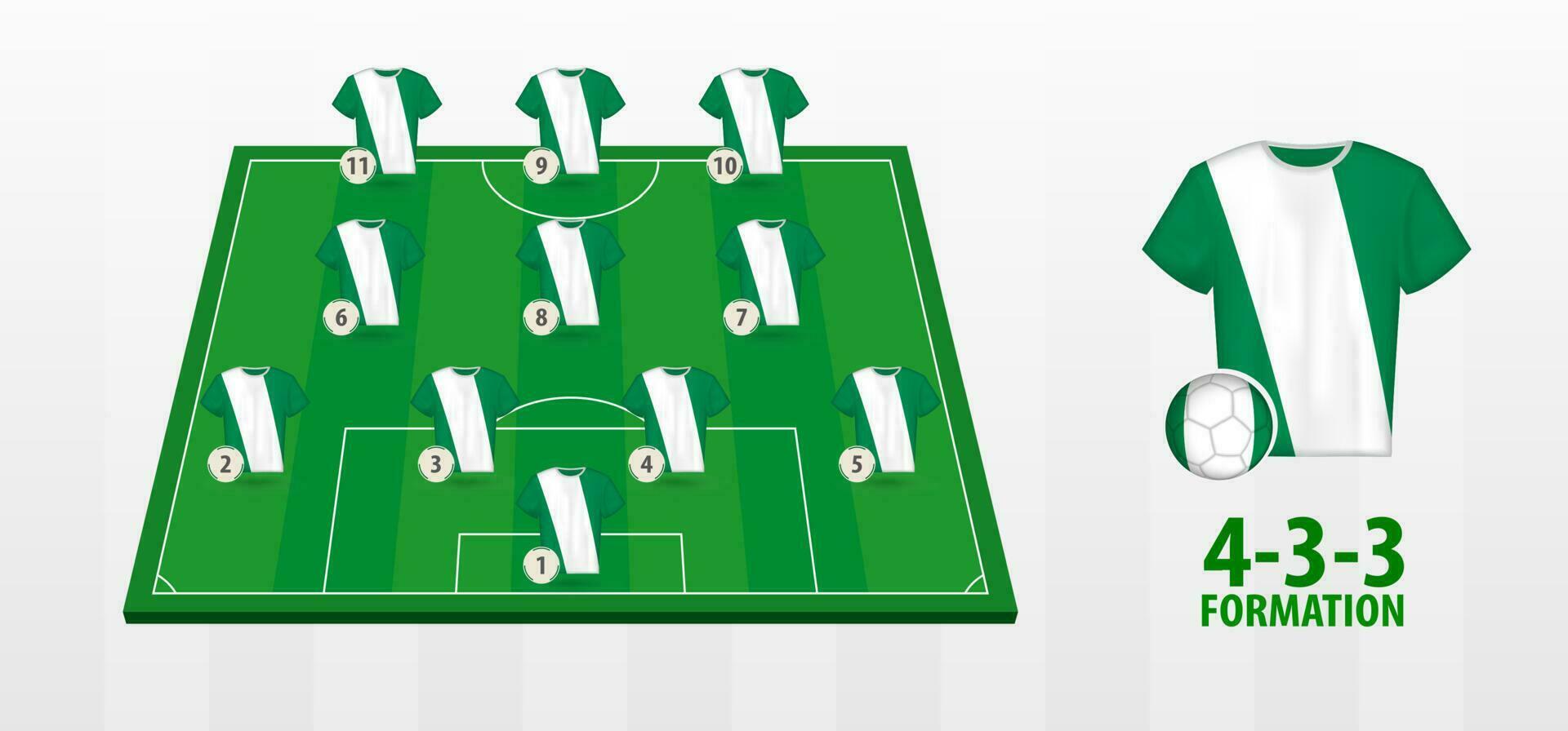 Nigeria National Football Team Formation on Football Field. vector