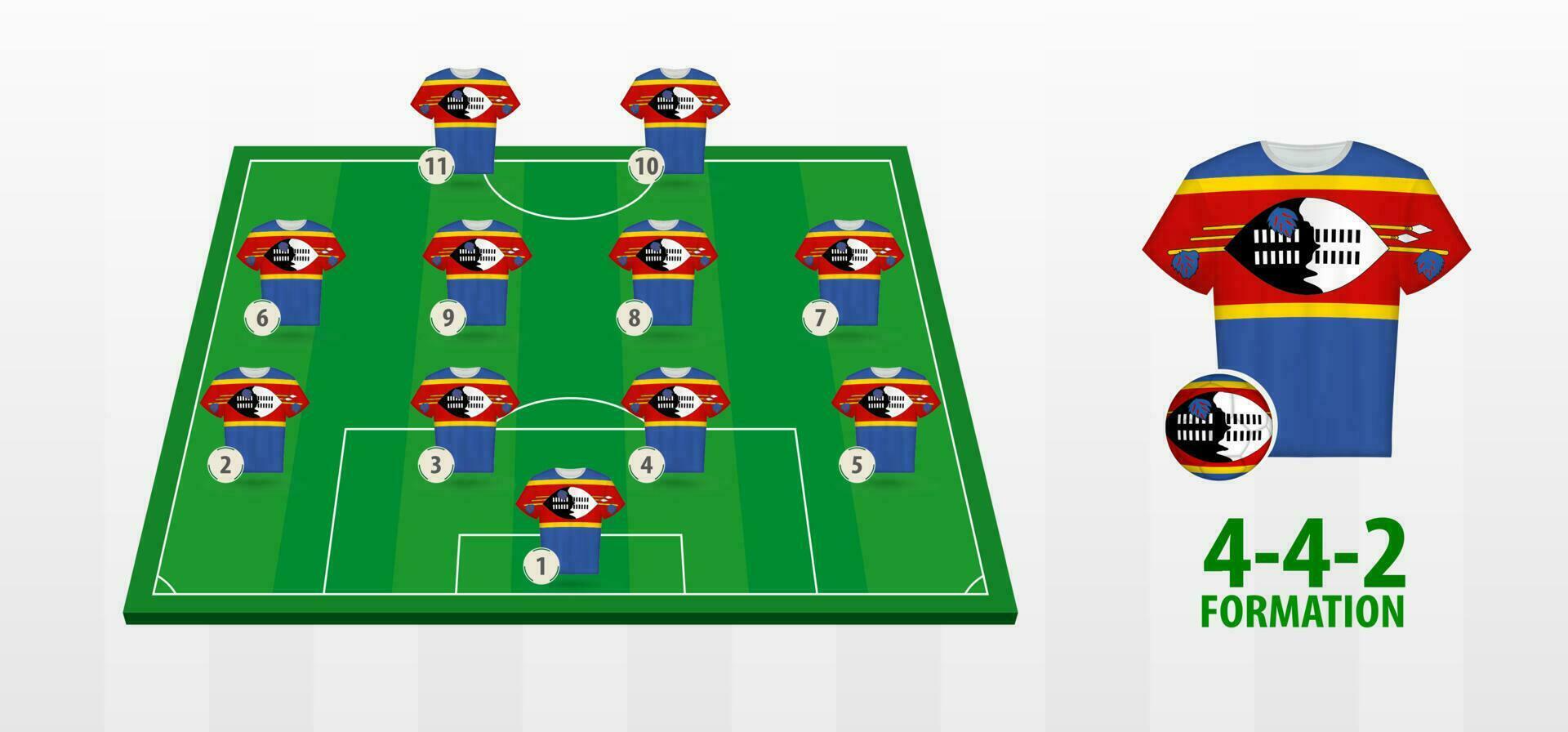 Swaziland National Football Team Formation on Football Field. vector