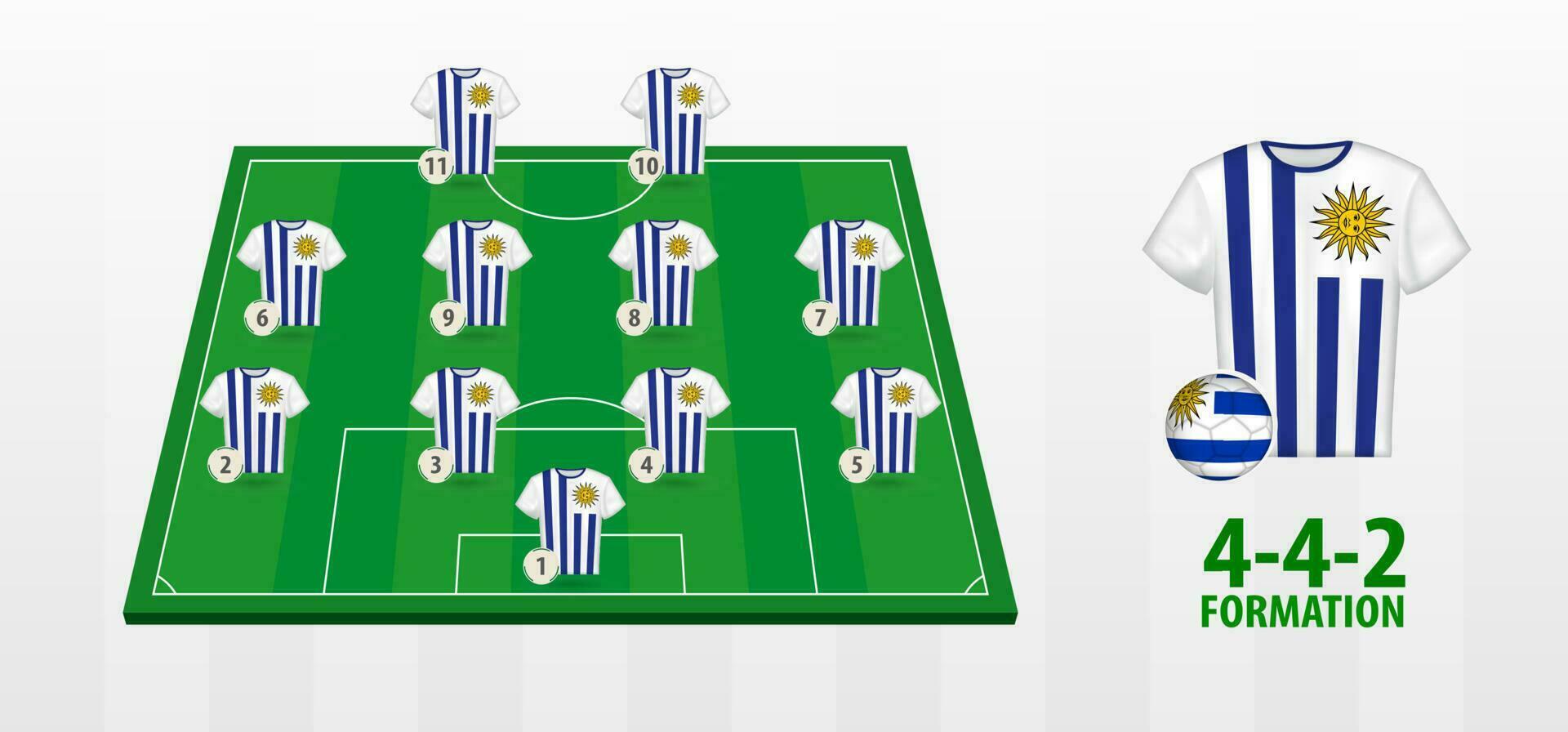 Uruguay National Football Team Formation on Football Field. vector