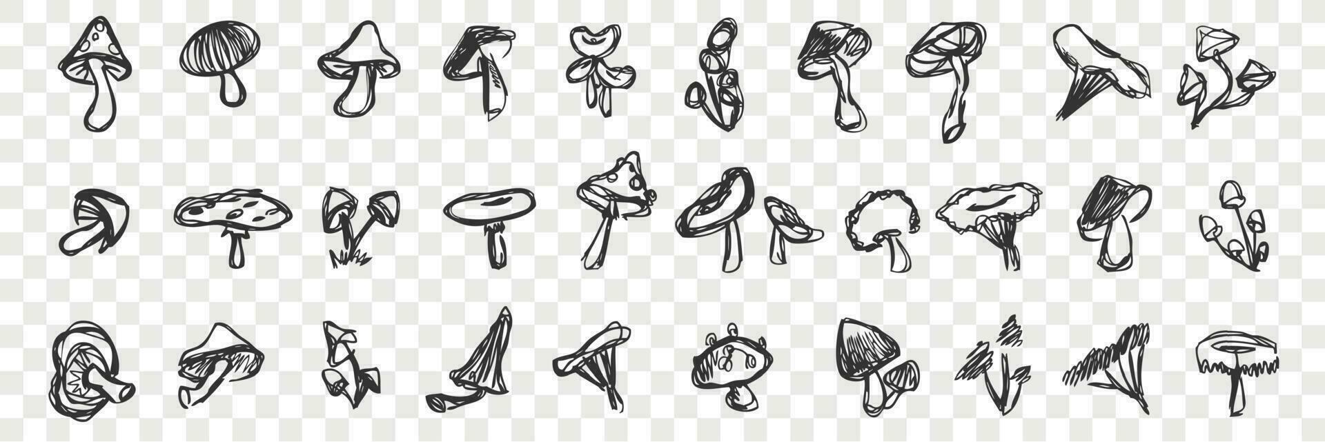 Hand drawn mushrooms doodle set vector