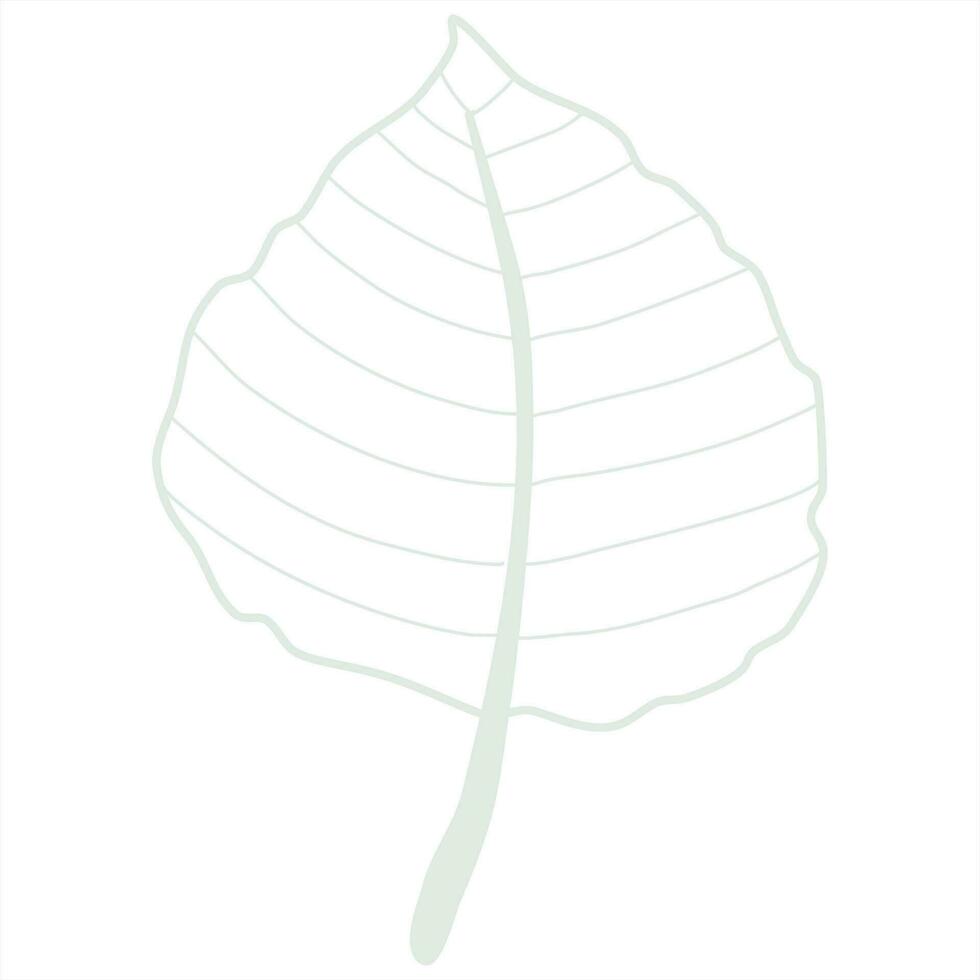 Line art leaf vector