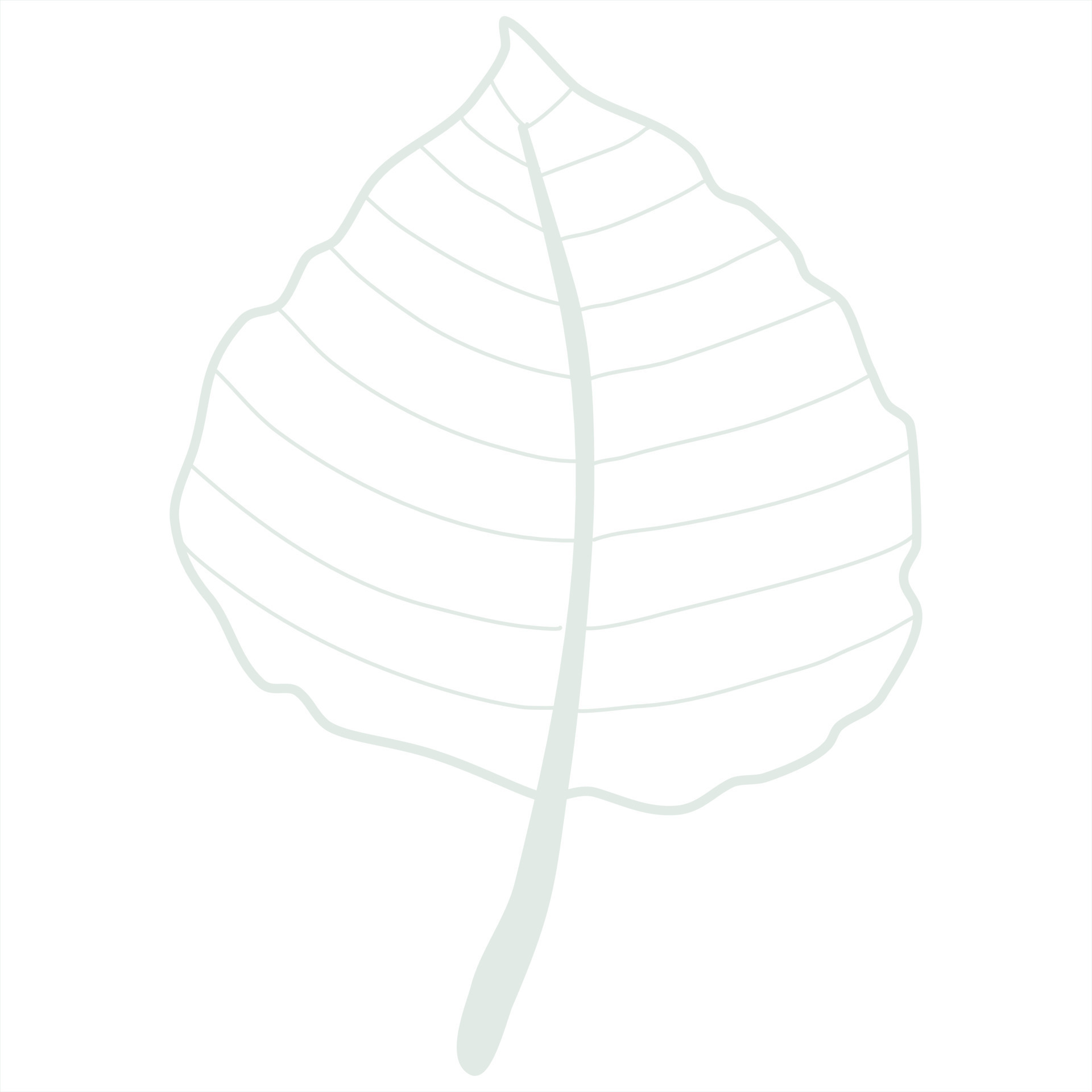 Line art leaf 23166569 Vector Art at Vecteezy