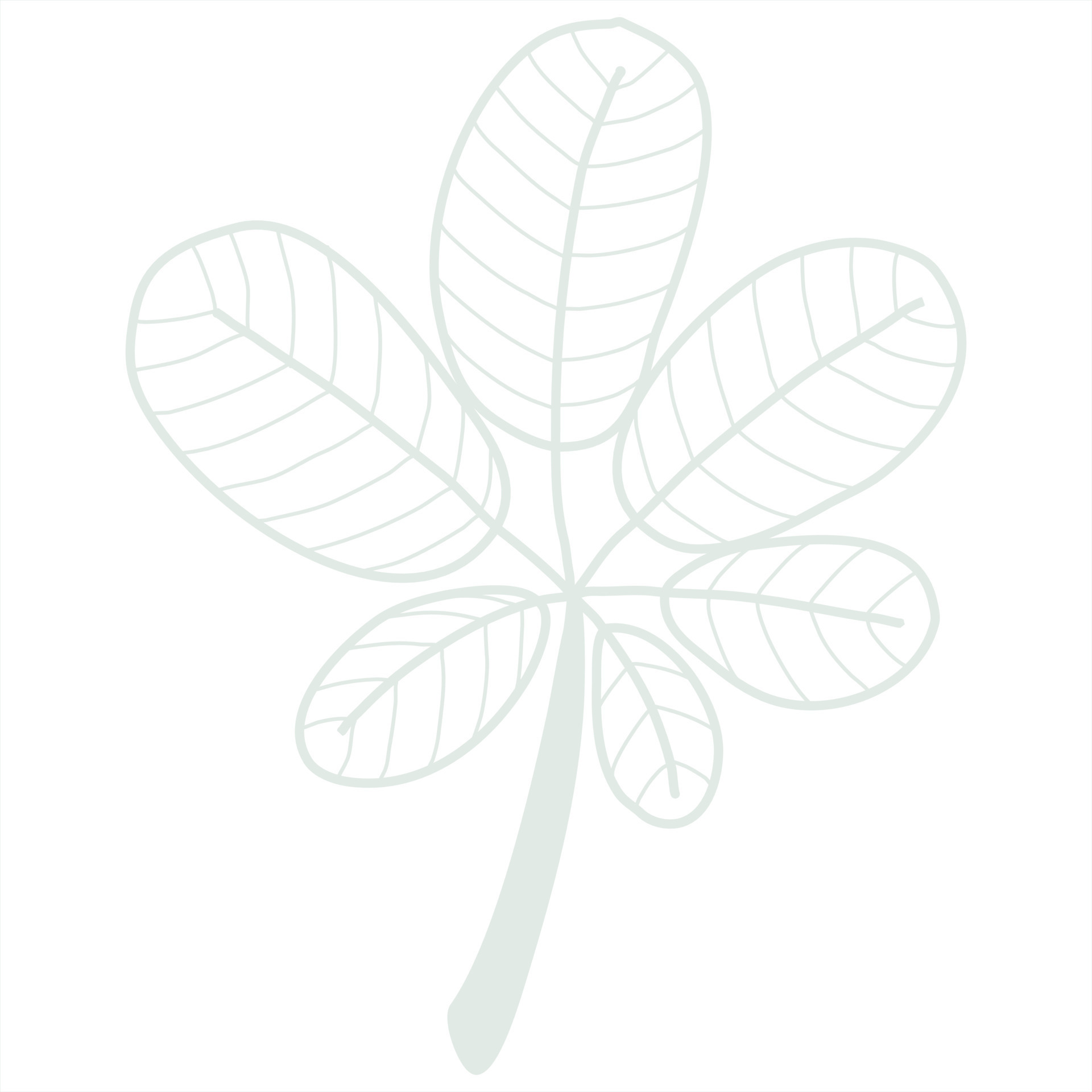 Line art leaf 23166573 Vector Art at Vecteezy