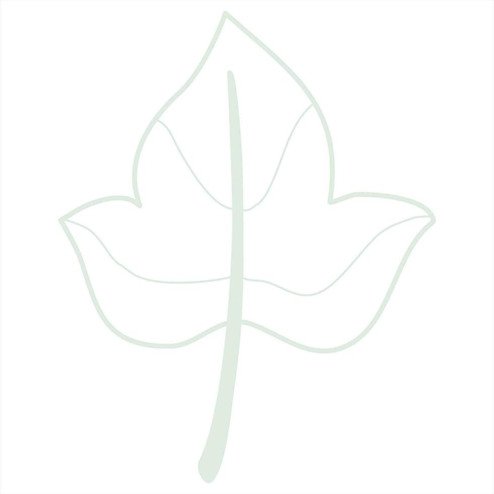 Line art leaf vector