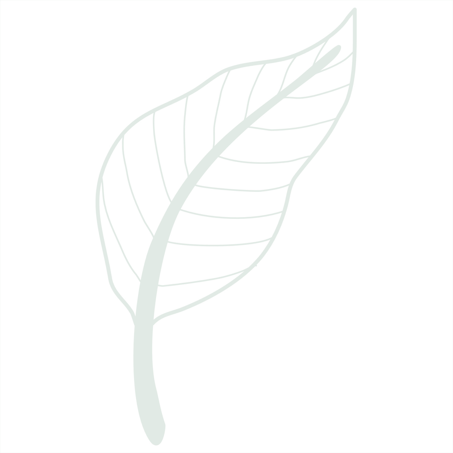 Line art leaf 23166575 Vector Art at Vecteezy