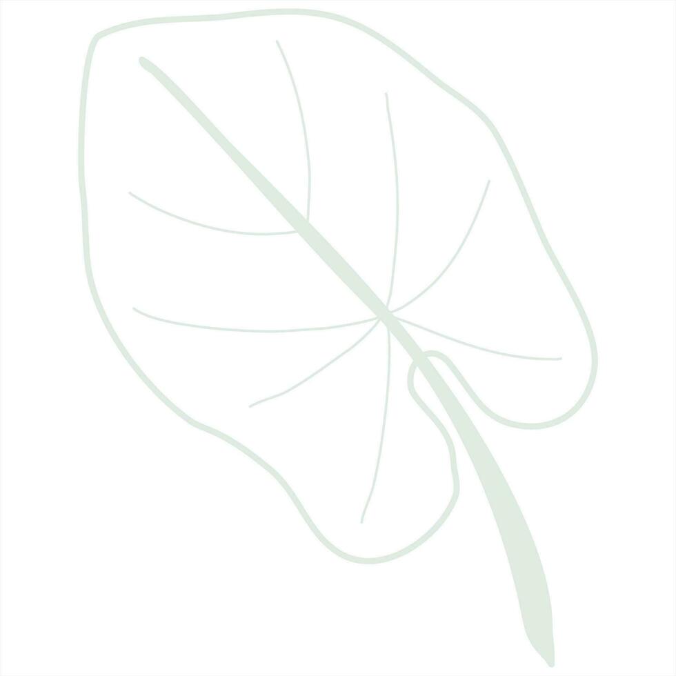Line art leaf vector