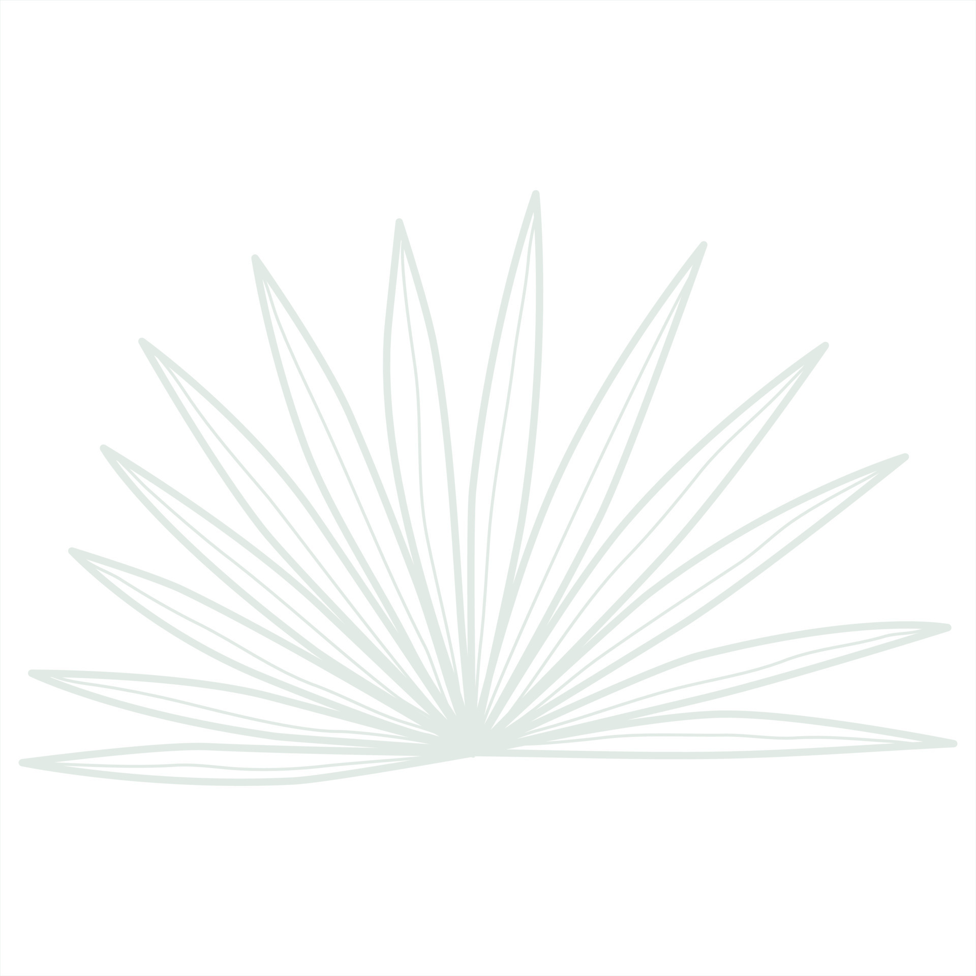 Line art leaf 23166580 Vector Art at Vecteezy