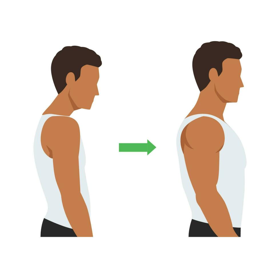 muscular y flaco hombre, peso pérdida concepto. hombre antes de y después rutina de ejercicio con mejor espalda postura. plano vector