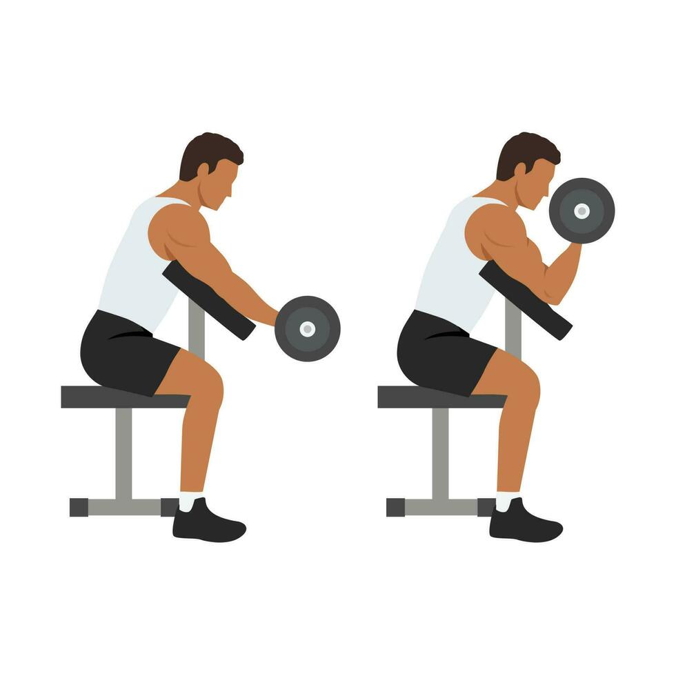 Man doing one arm dumbbell preacher curl side view. vector