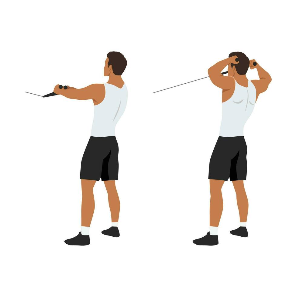 Man doing standing rope face pull. Cable face pull exercise back view. Flat  vector illustration. Shoulder exercise. 23166868 Vector Art at Vecteezy