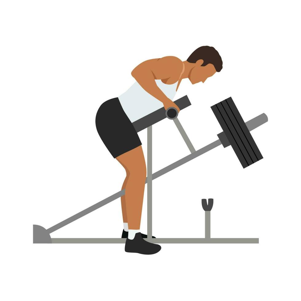 Man doing bent over T bar row with chest supported. Flat vector