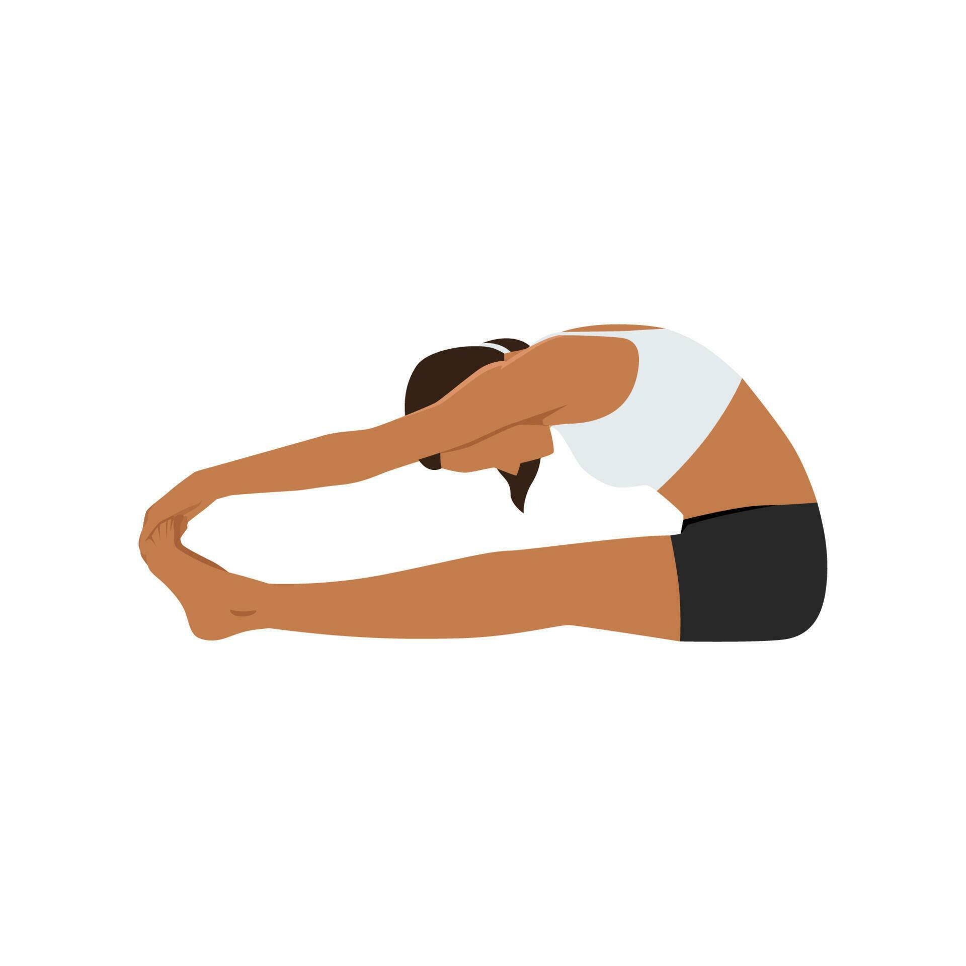 Woman Doing Seated Toe Touch Stretch Exercise Flat Vector 23166880 Woman Doing Seated Toe Touch Stretch Exercise Flat Vector 23166880