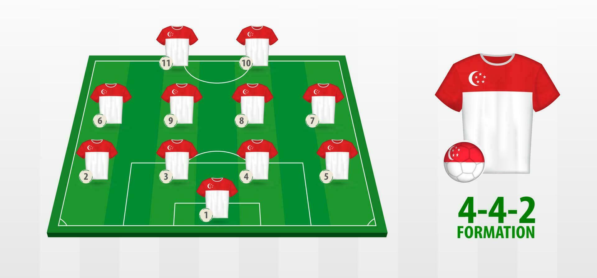 Singapore National Football Team Formation on Football Field. vector