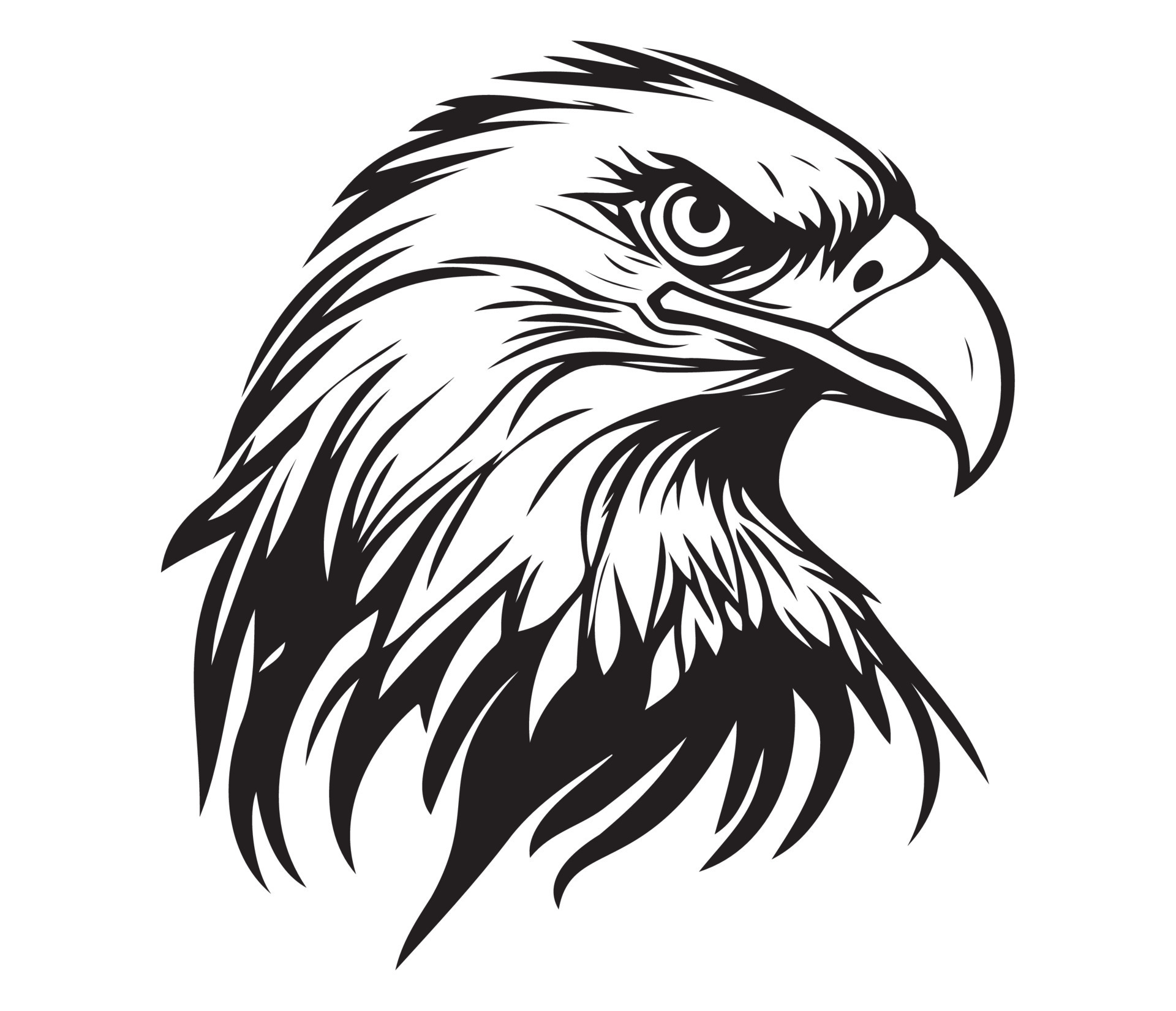 Golden Eagle Black And White Eagle Face Silhouettes Eagle Face Black And White Eagle Vector