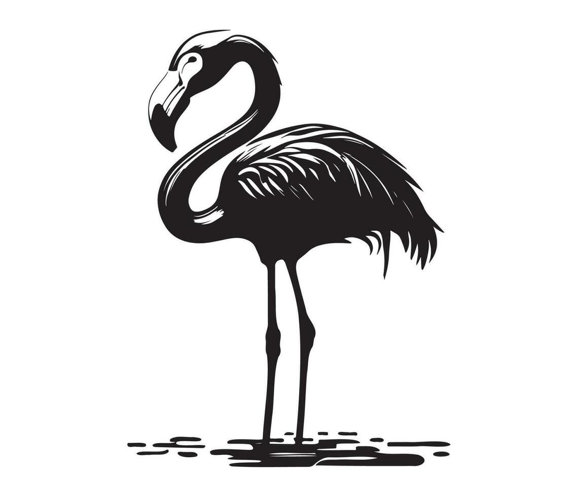 Flamingo, Silhouettes Flamingo, black and white Flamingo vector