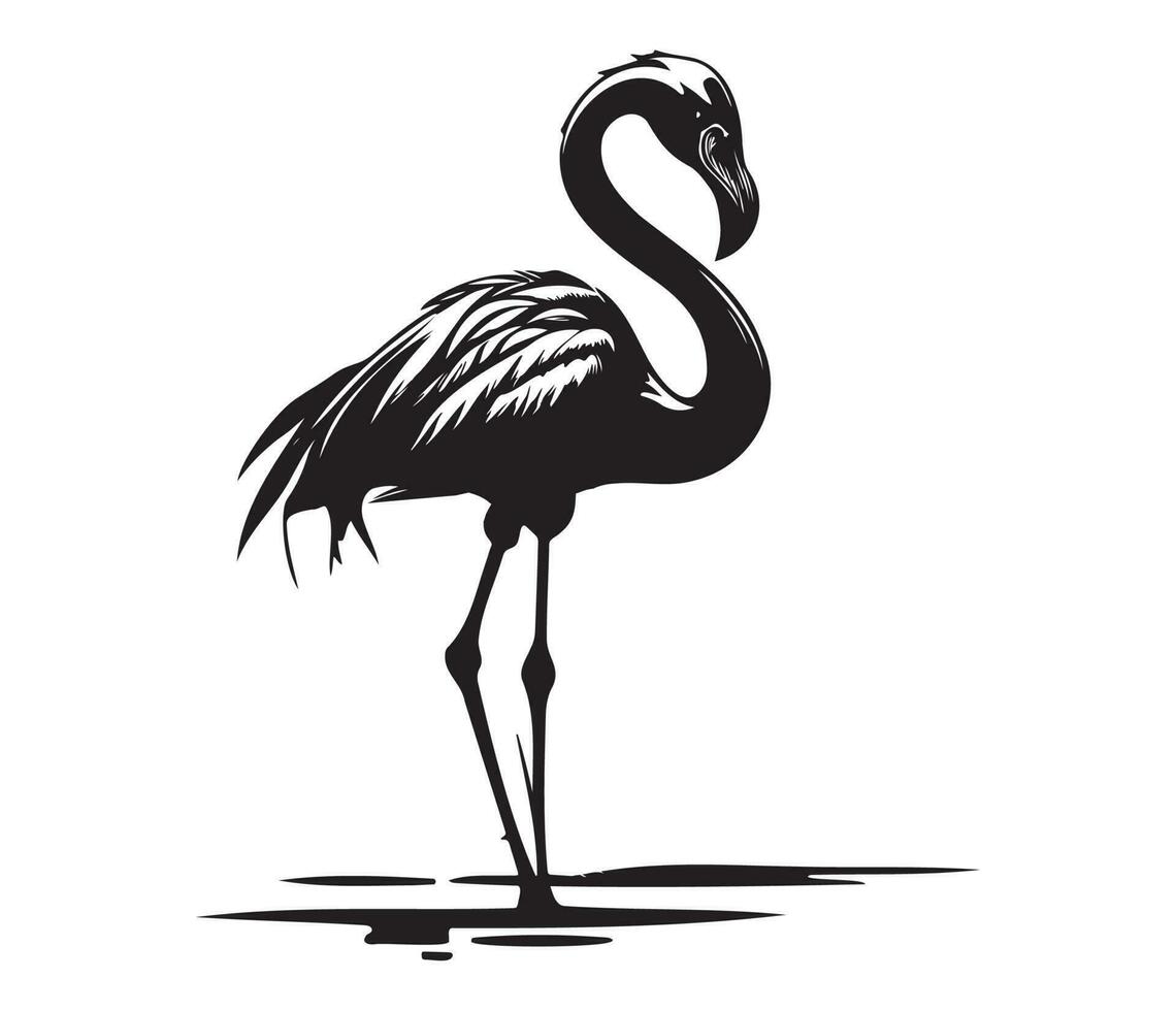 Flamingo, Silhouettes Flamingo, black and white Flamingo vector