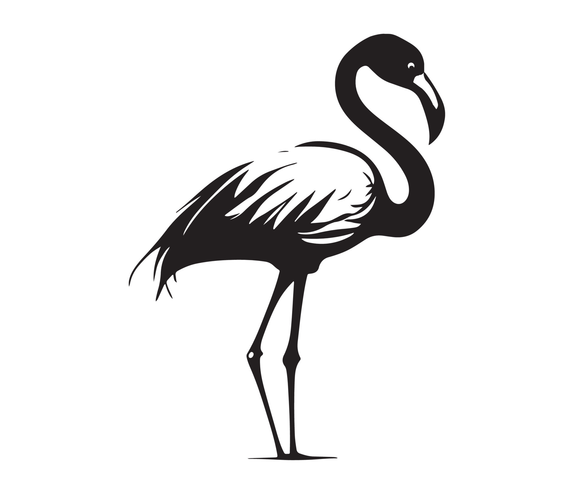 Flamingo Rule 34 - 0rlhspf