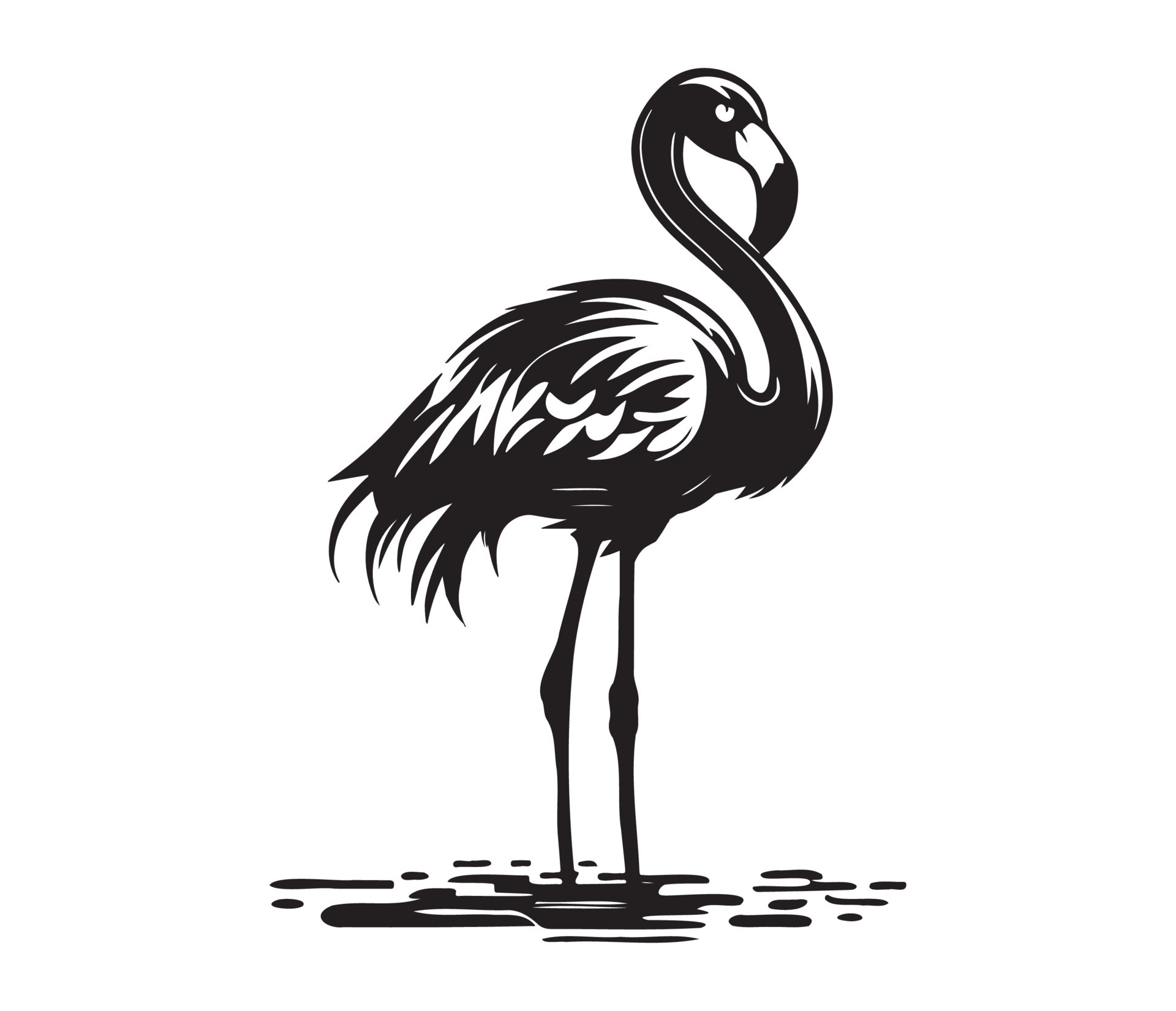 Flamingo, Silhouettes Flamingo, black and white Flamingo vector