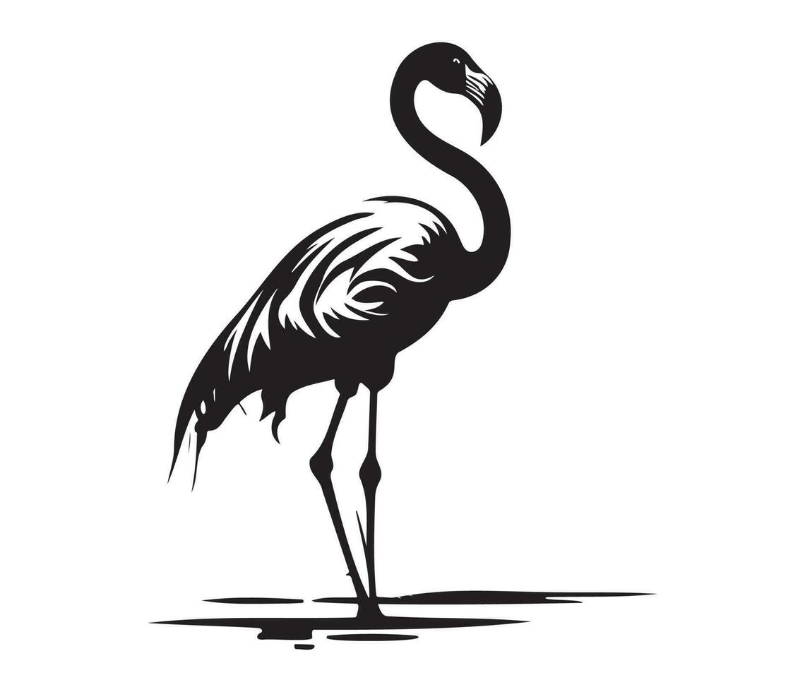 Flamingo, Silhouettes Flamingo, black and white Flamingo vector