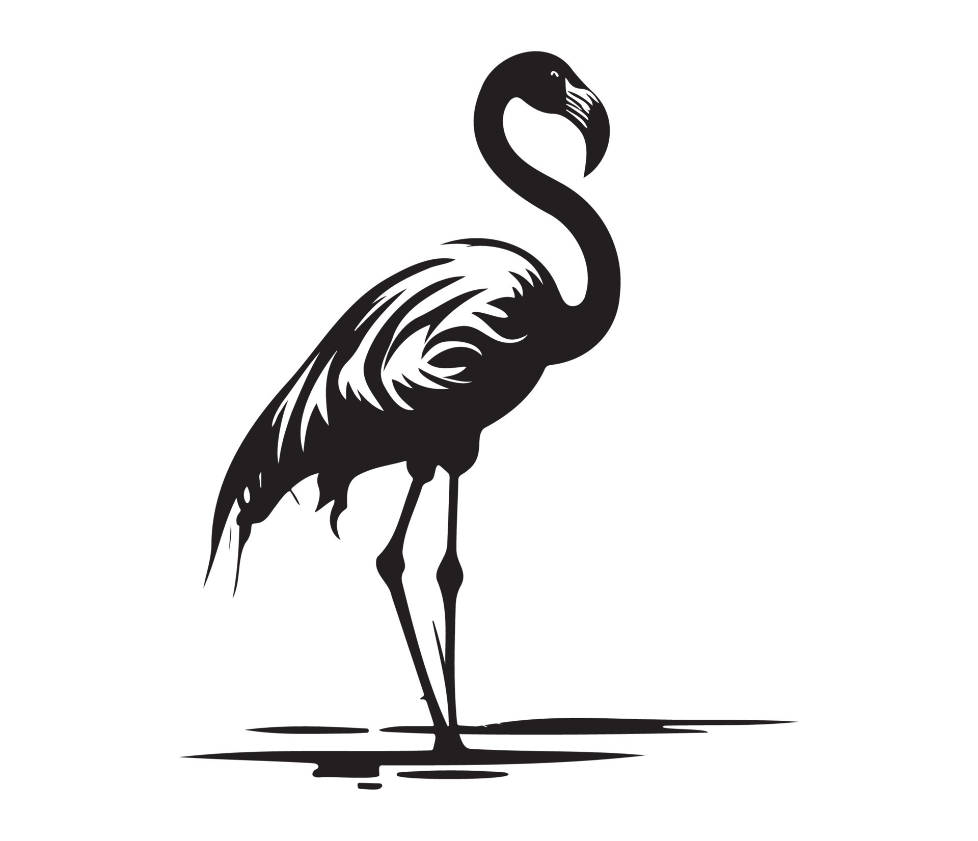 Flamingo, Silhouettes Flamingo, black and white Flamingo vector ...