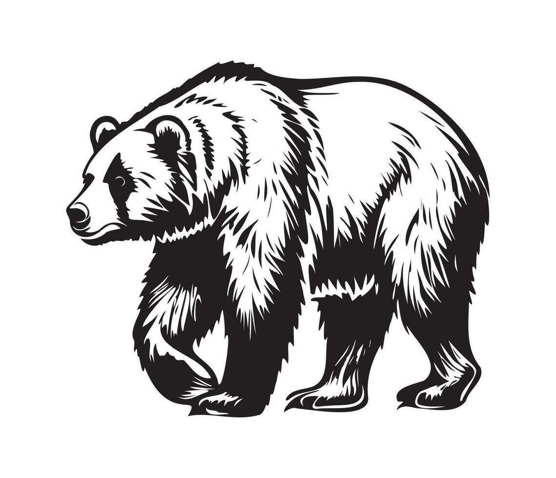 Grizzly bear Face, Silhouettes Grizzly bear Face, black and white