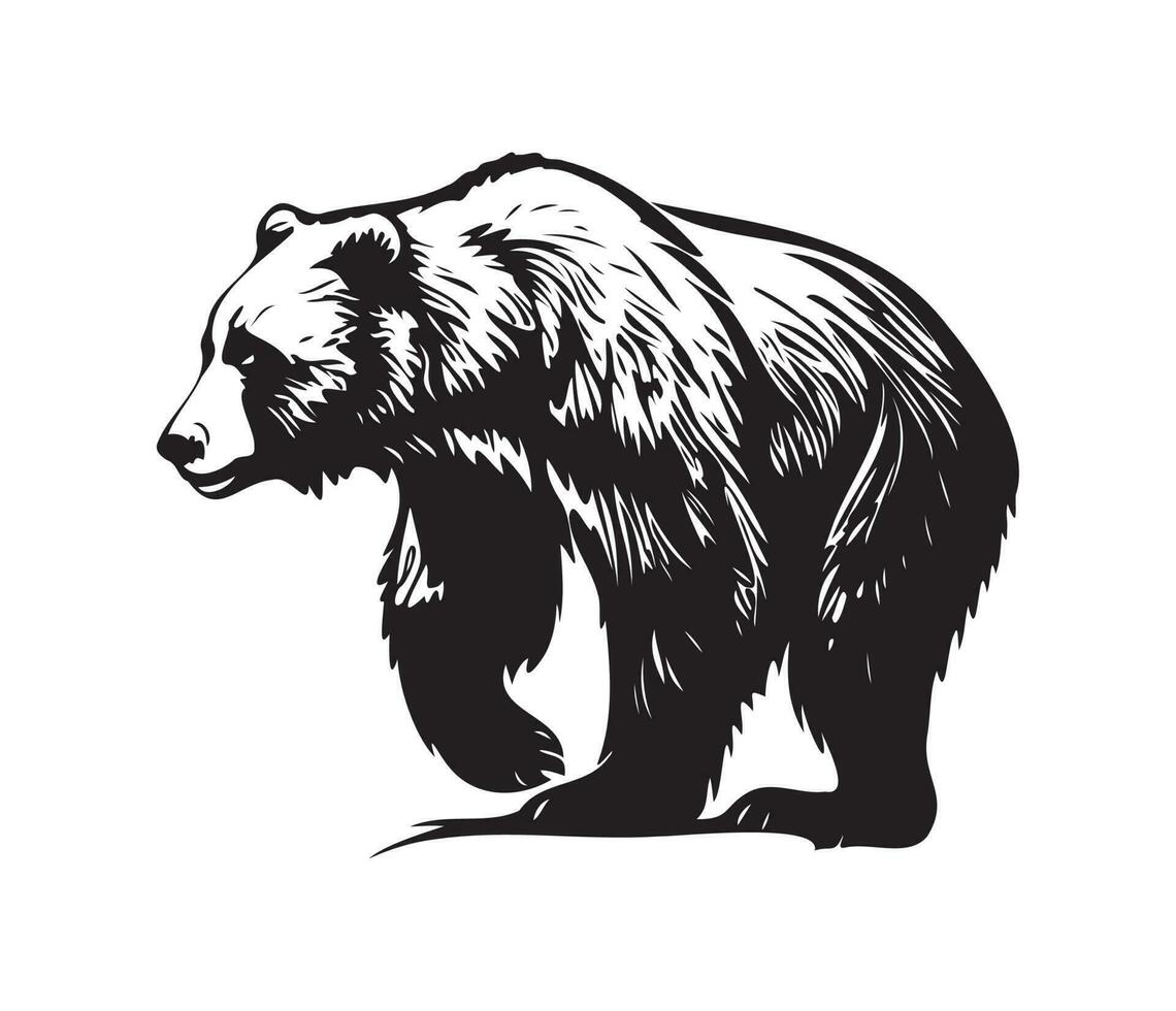 oso pardo oso rostro, siluetas oso pardo oso rostro, negro y blanco oso pardo oso vector