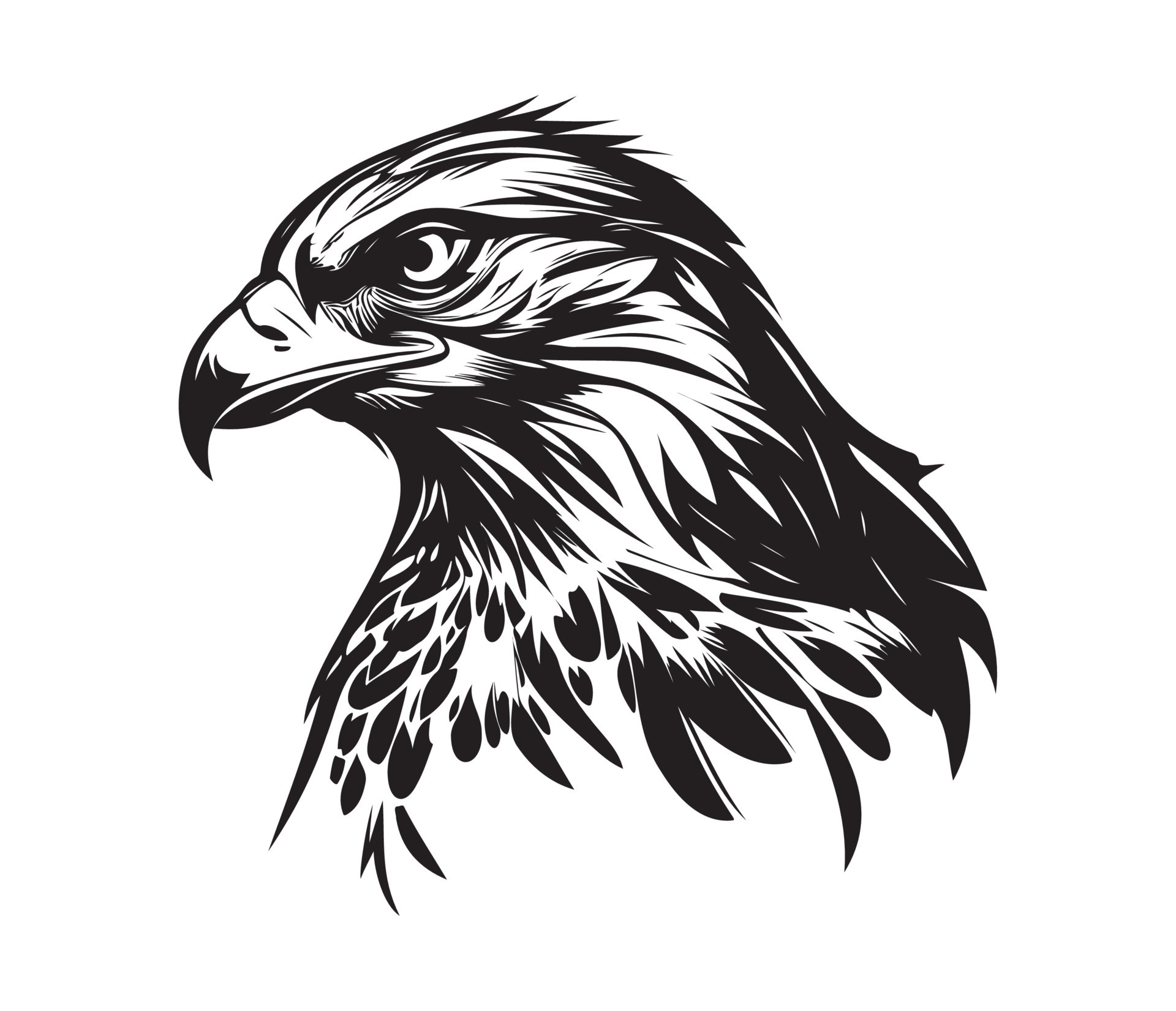 Hawk Face, Silhouettes Hawk Face, black and white Hawk vector 23168068