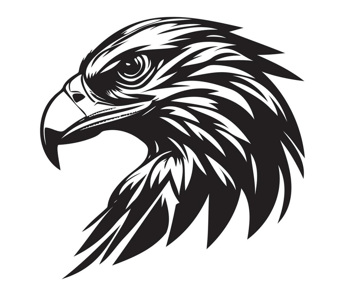 Hawk Face, Silhouettes Hawk Face, black and white Hawk vector