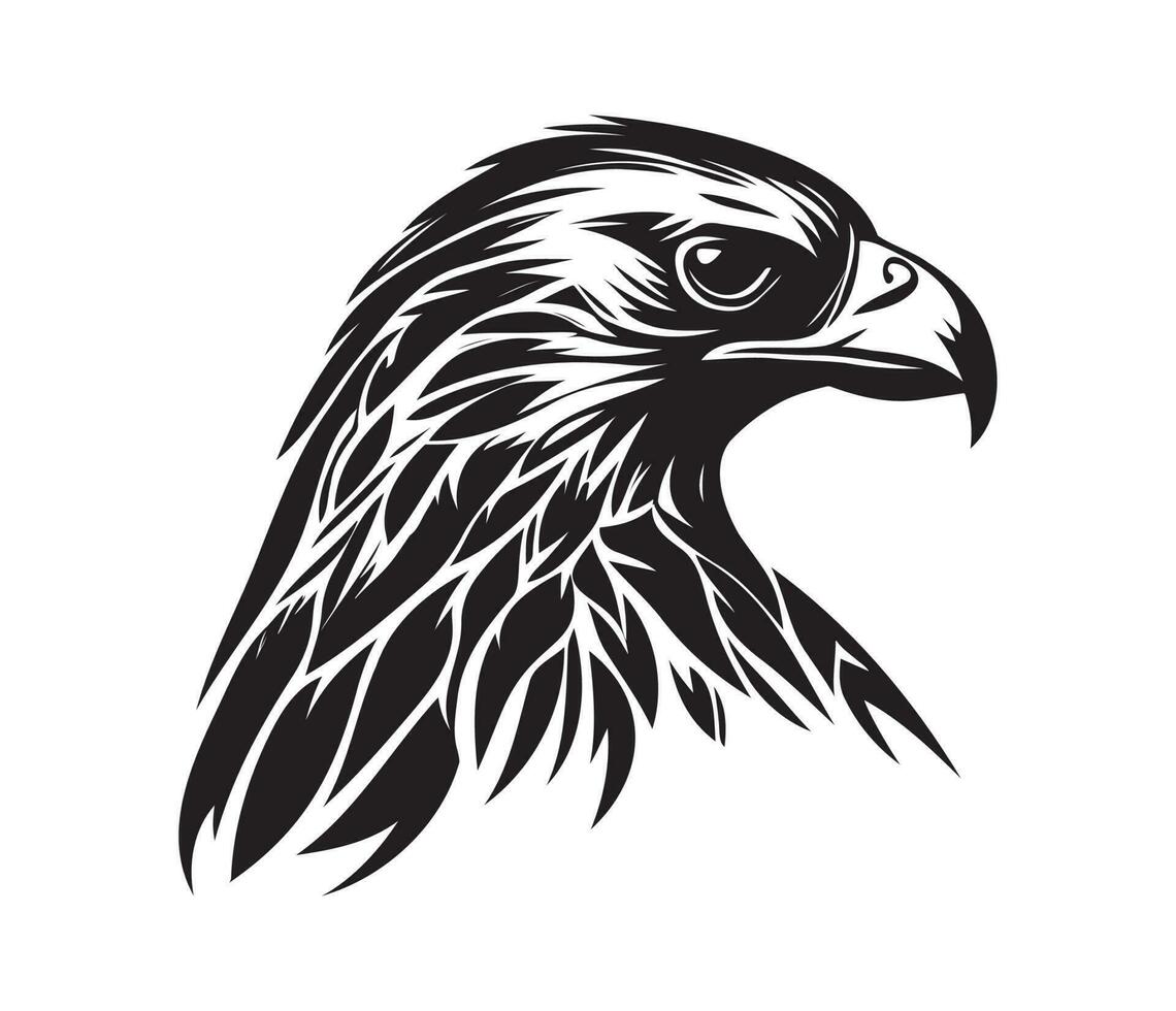 Hawk Face, Silhouettes Hawk Face, black and white Hawk vector 23168077