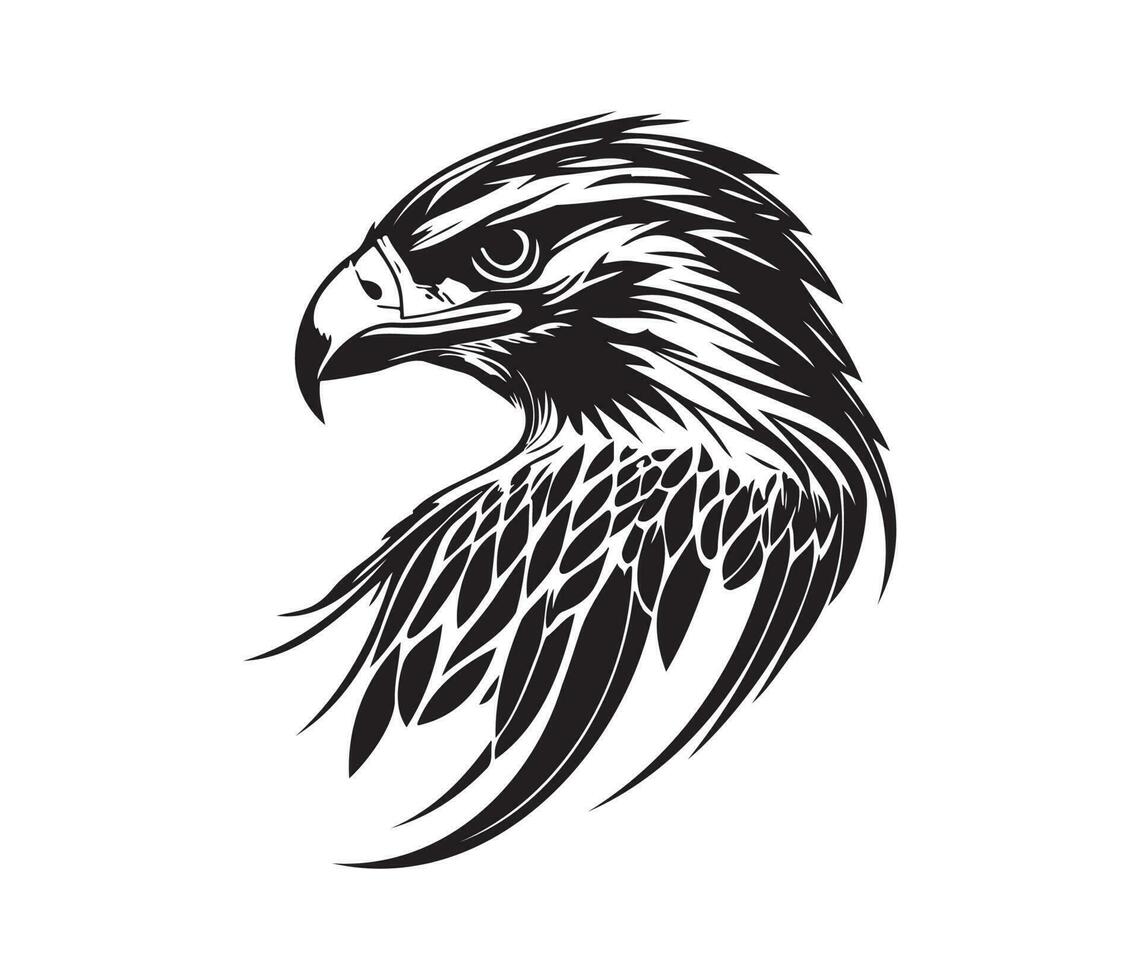 Hawk Face, Silhouettes Hawk Face, black and white Hawk vector