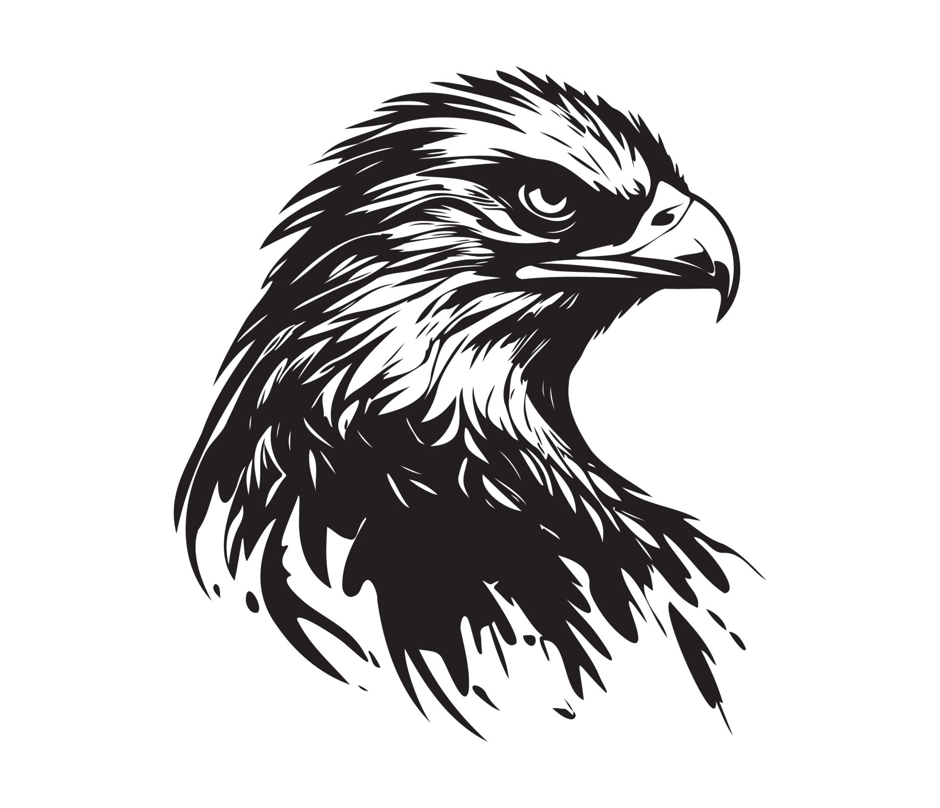 Hawk Face, Silhouettes Hawk Face, black and white Hawk vector 23168085