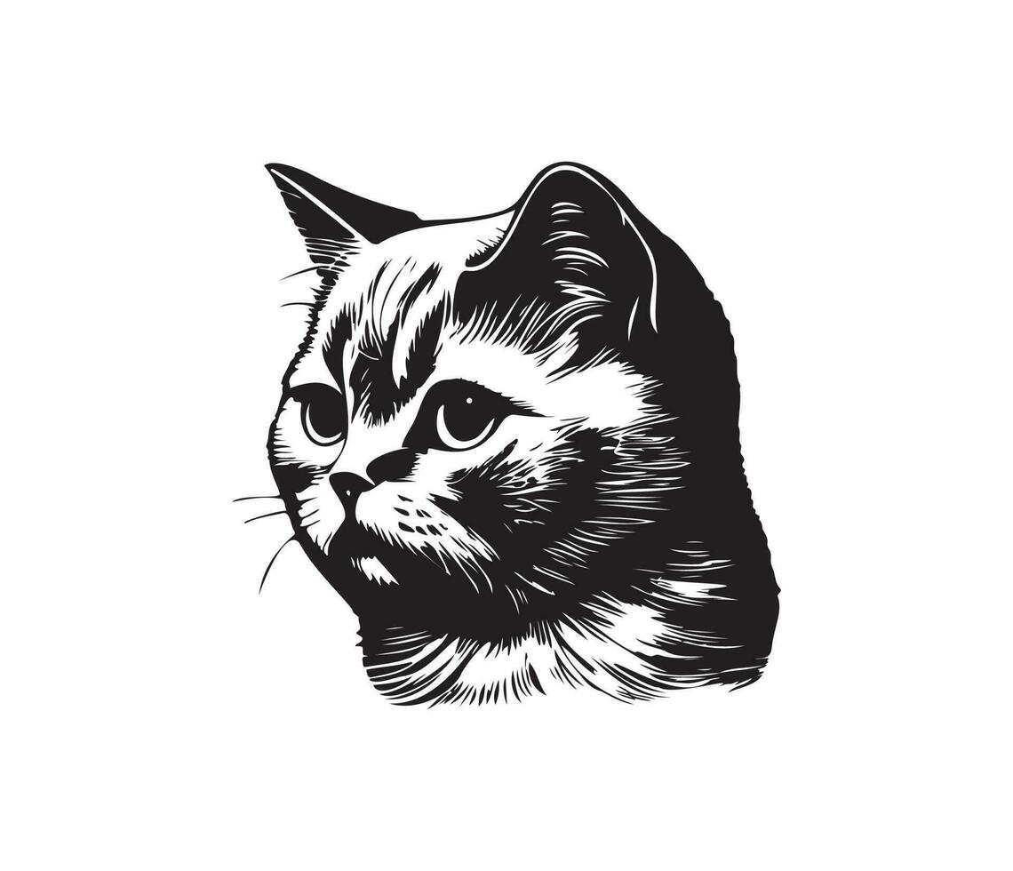 Scottish fold Face, Silhouettes cat face, black and white Scottish fold vector