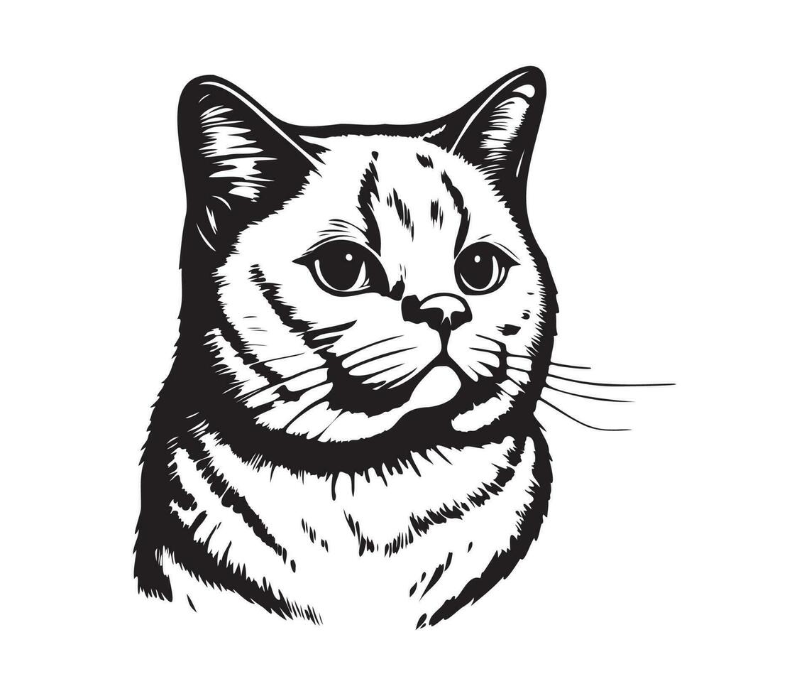 Scottish fold Face, Silhouettes cat face, black and white Scottish fold vector