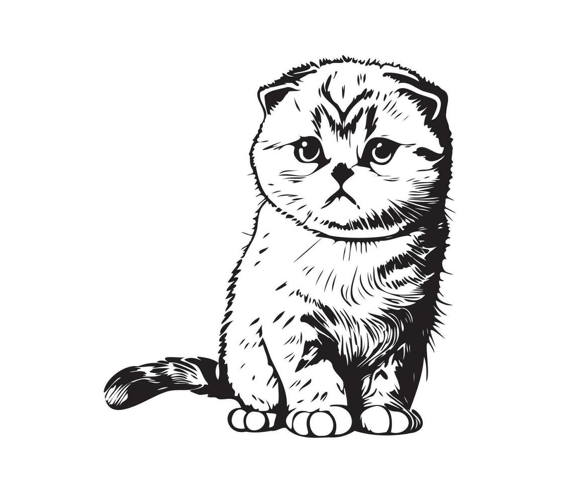 Scottish fold Face, Silhouettes cat face, black and white Scottish fold vector