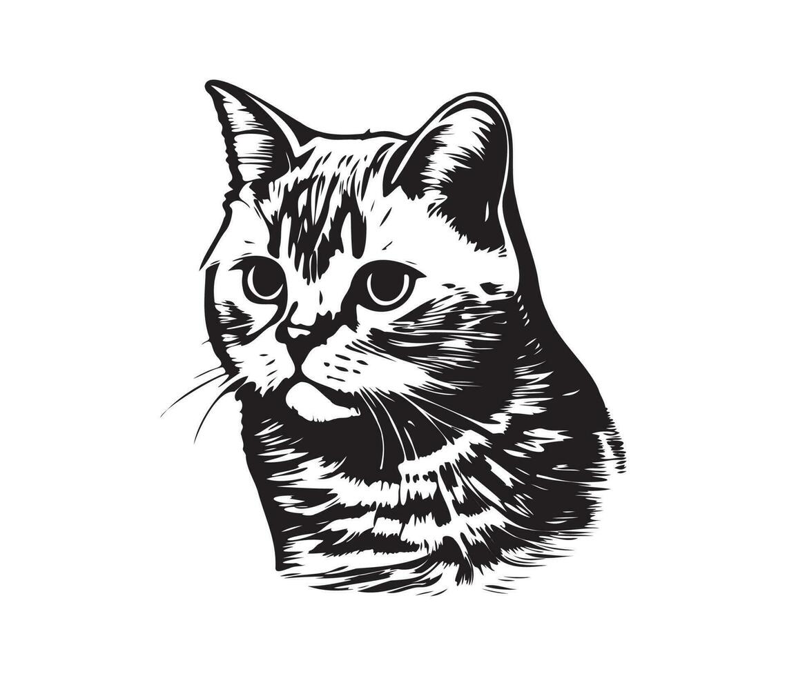 Scottish fold Face, Silhouettes cat face, black and white Scottish fold vector