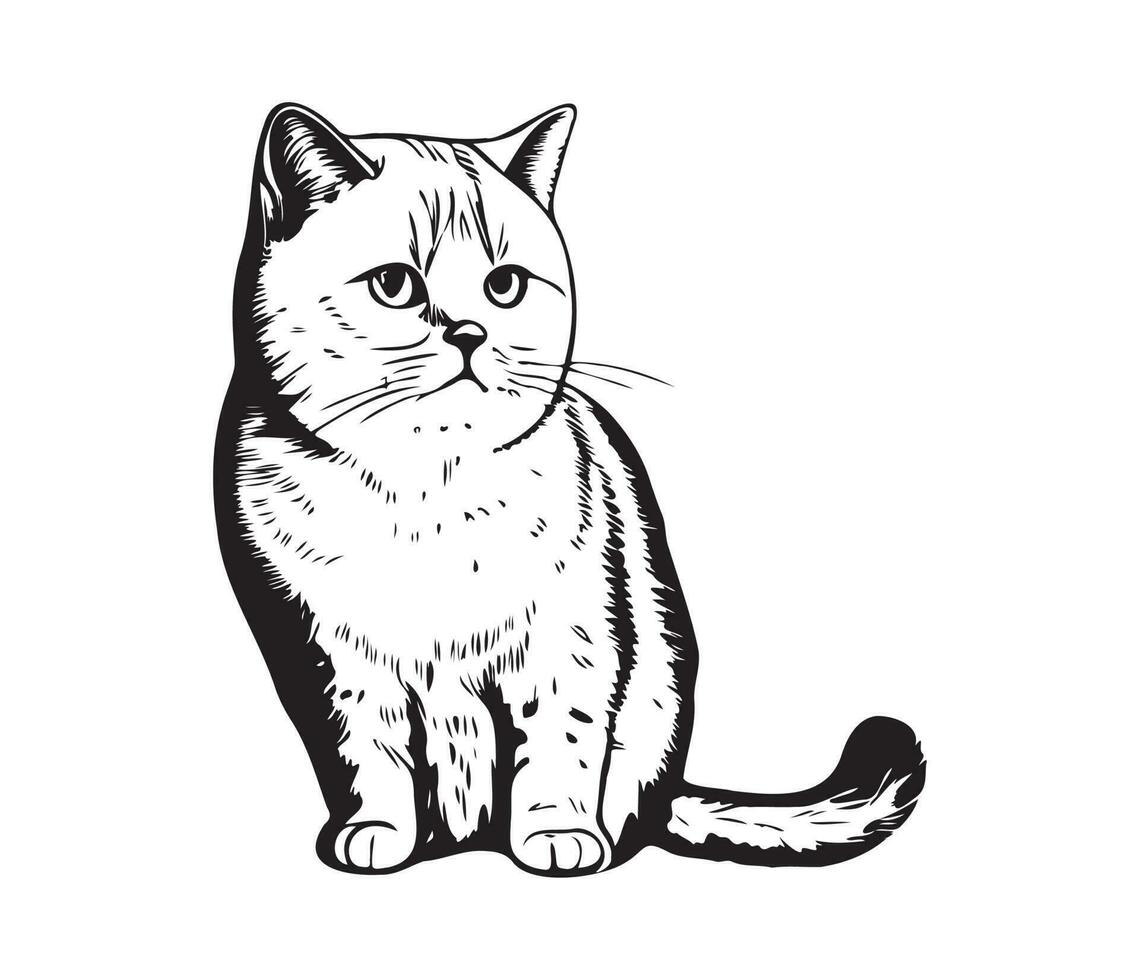 Scottish fold Face, Silhouettes cat face, black and white Scottish fold vector