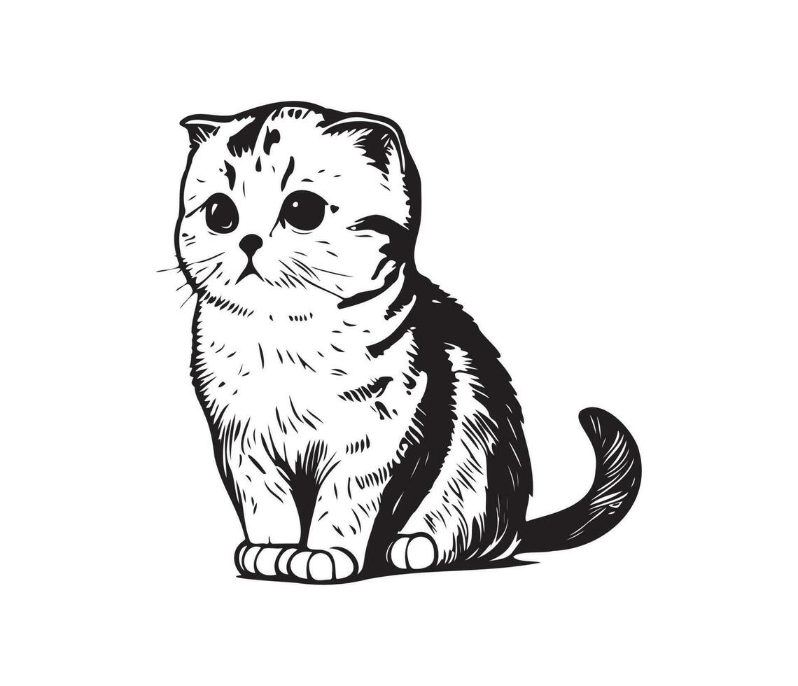 Scottish fold Face, Silhouettes cat face, black and white Scottish fold vector