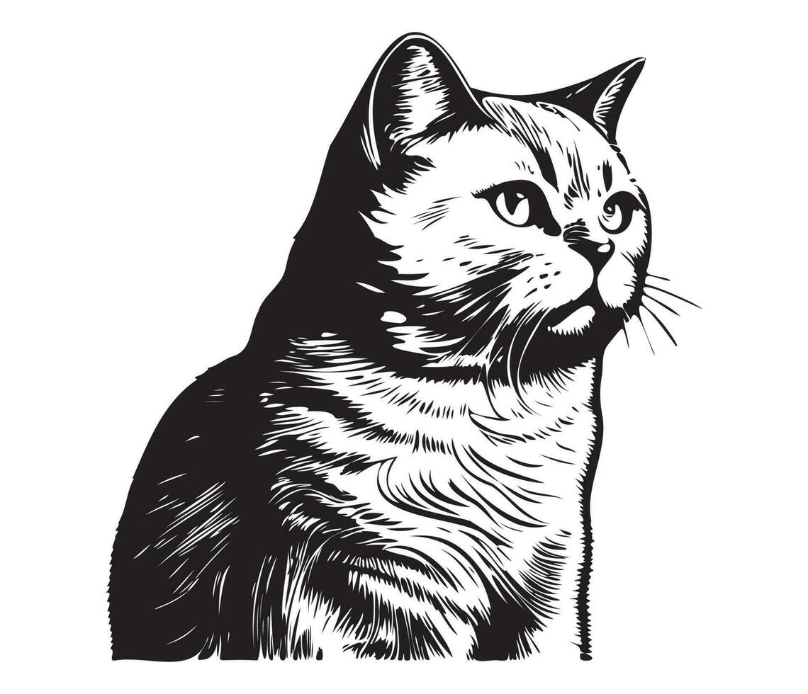 Scottish fold Face, Silhouettes cat face, black and white Scottish fold vector