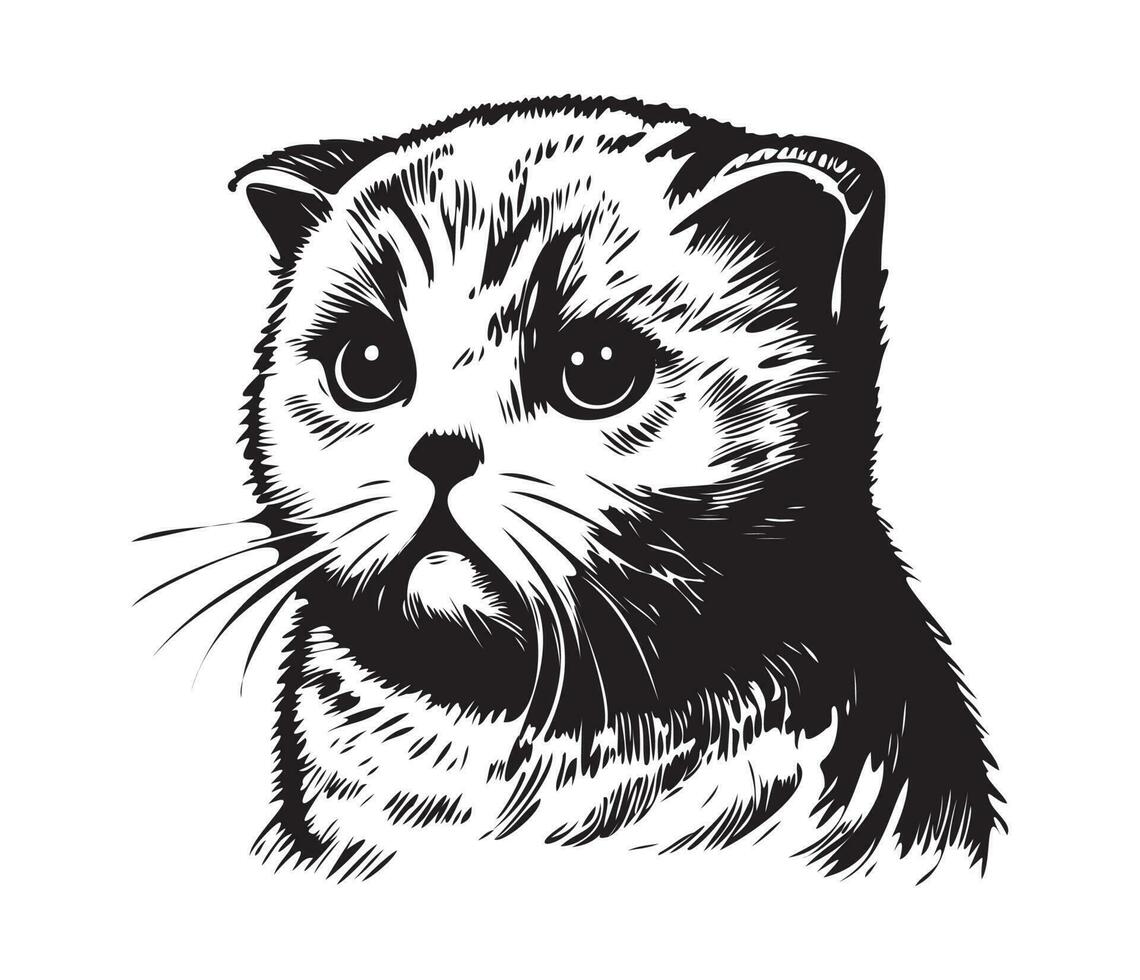 Scottish fold Face, Silhouettes cat face, black and white Scottish fold vector