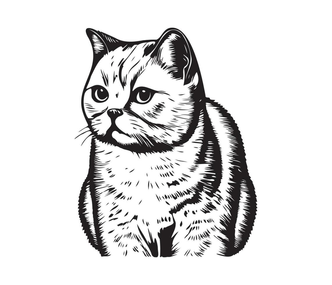 Scottish fold Face, Silhouettes cat face, black and white Scottish fold vector