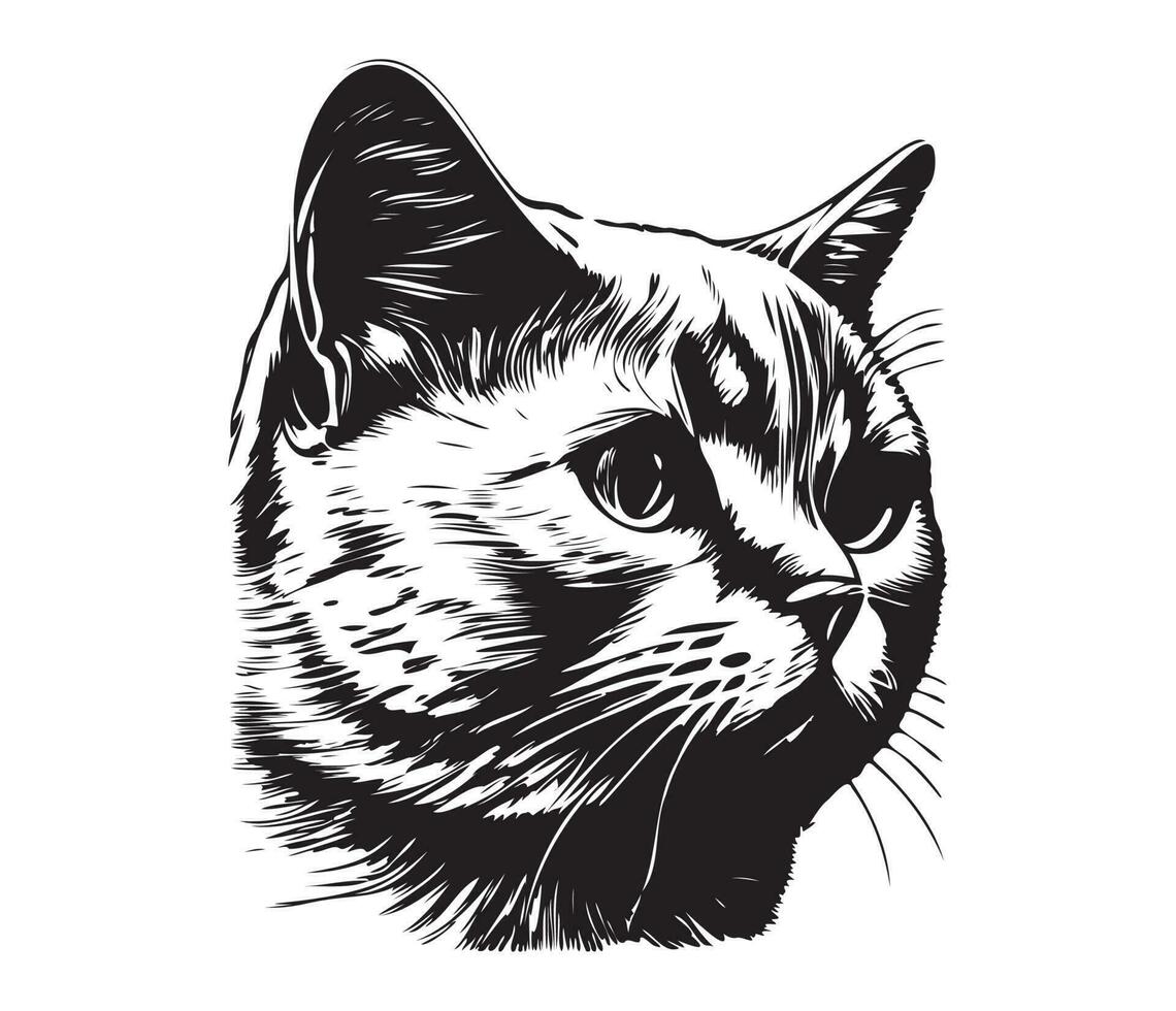 Scottish fold Face, Silhouettes cat face, black and white Scottish fold vector