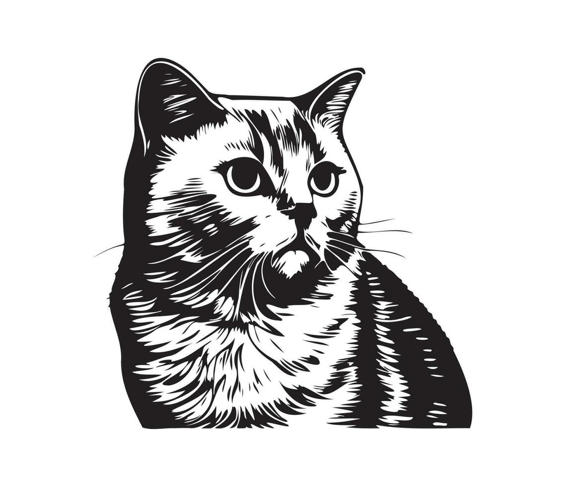 Scottish fold Face, Silhouettes cat face, black and white Scottish fold vector