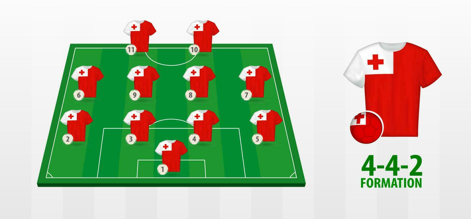 Tonga National Football Team Formation on Football Field. vector