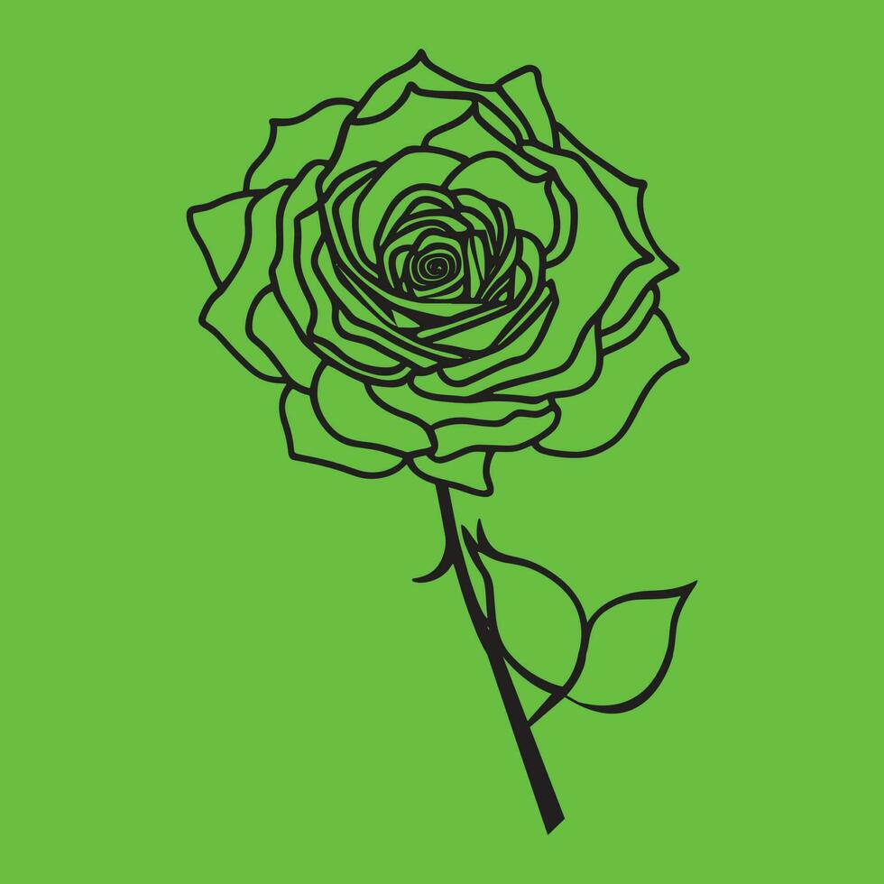 A beautiful Rose outline Illustration Vector Art design