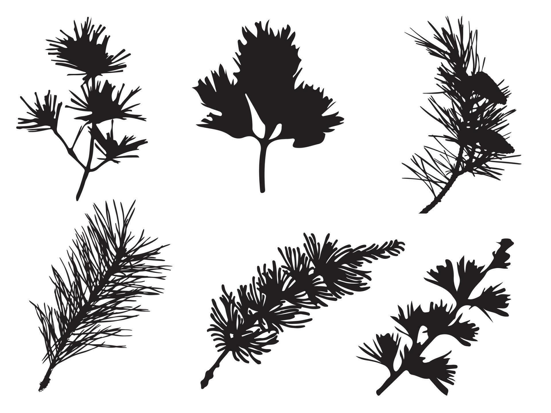 Forest Silhouettes Of Wonderful Tree Collection Set illustration Vector ...