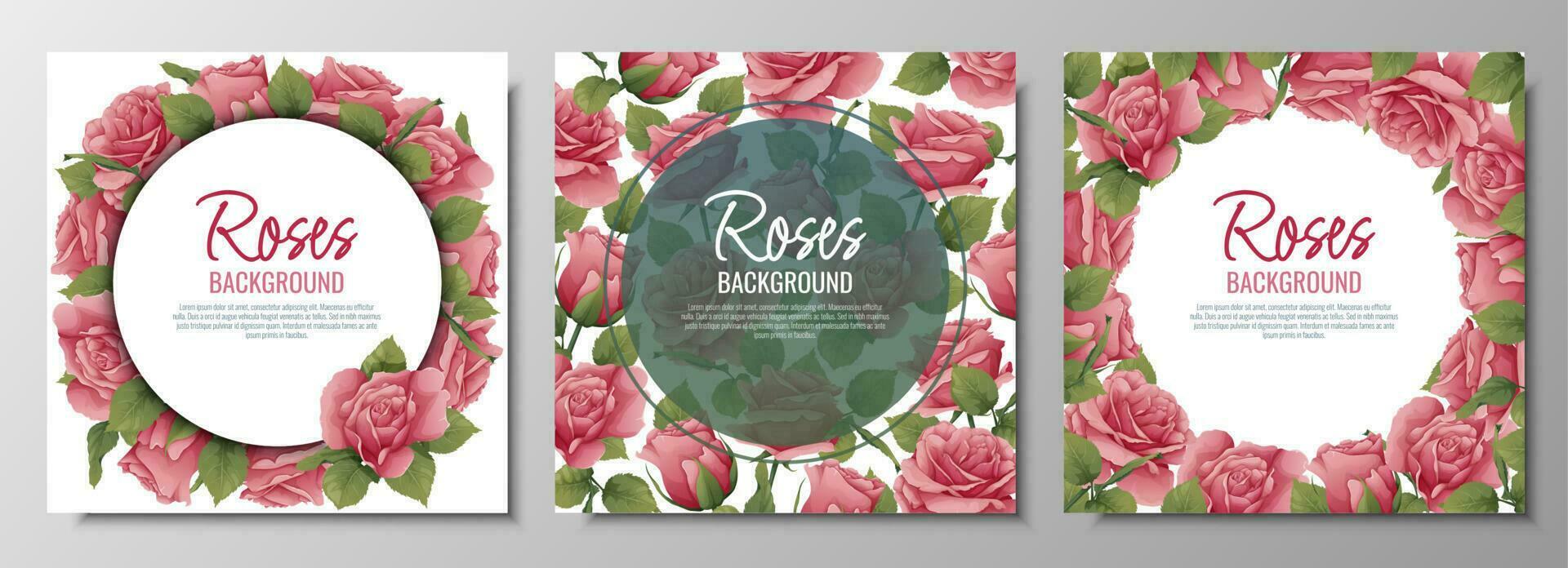 conjunto de postales con rosas. borde, marco con rosado flores y verde hojas. antecedentes con botánico elementos. vector ilustración.