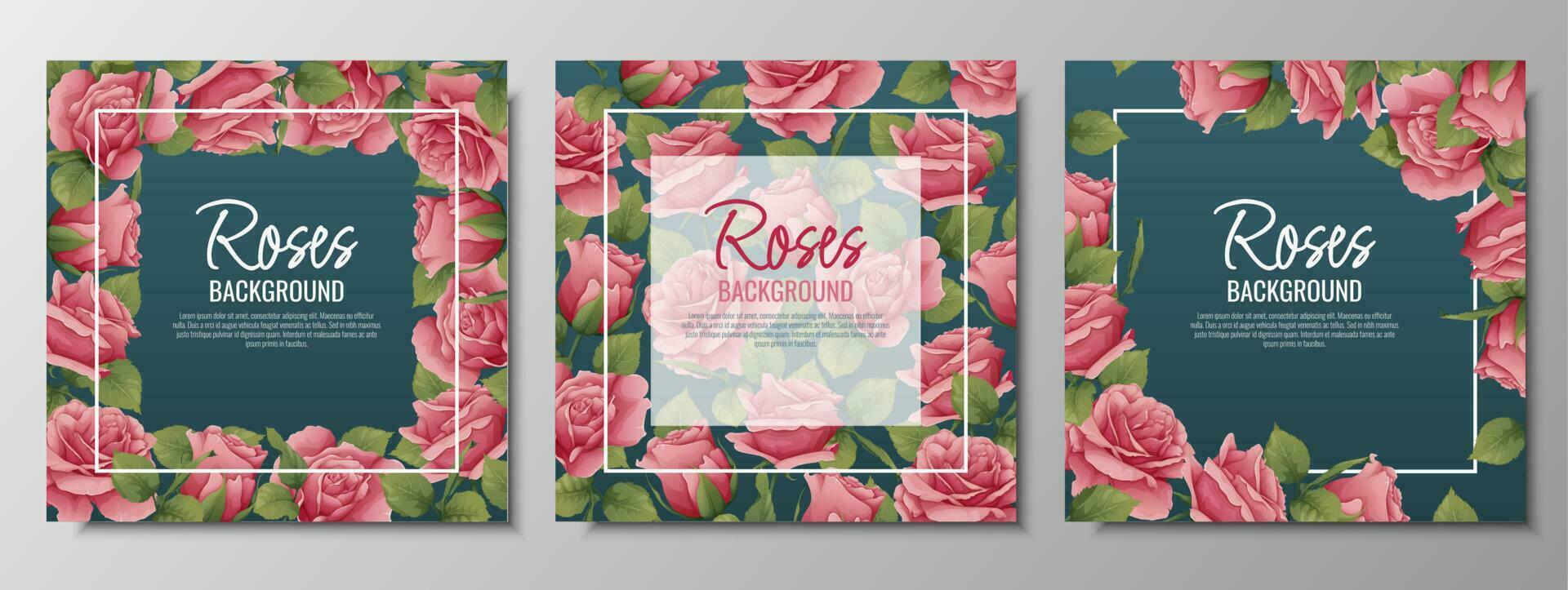 Set of postcards with roses. Border, frame with pink flowers and green leaves. Background with botanical elements. Vector illustration.