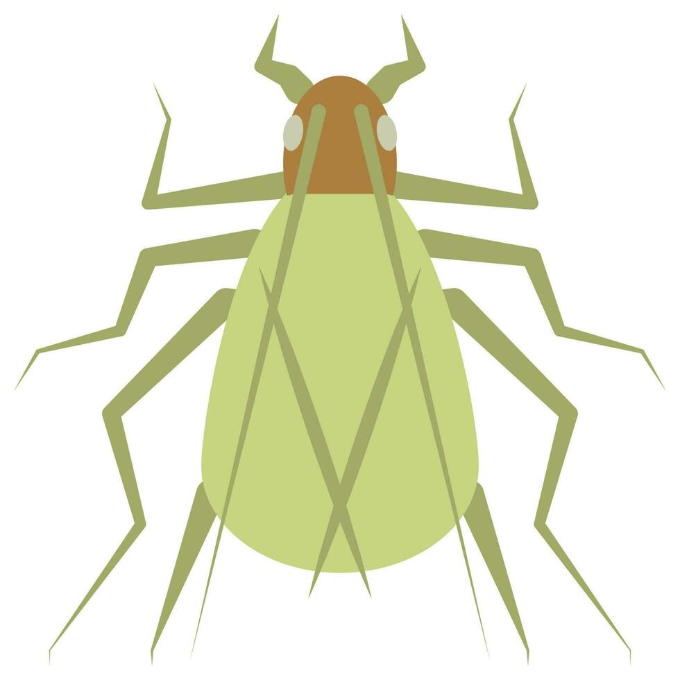 Flat color icon for tree cricket. vector