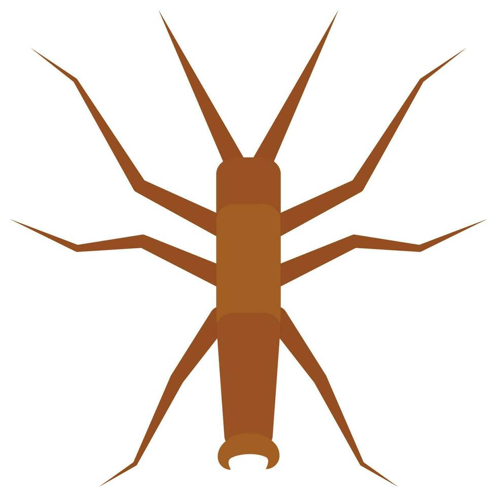 Flat color icon for walking sticks bug. vector