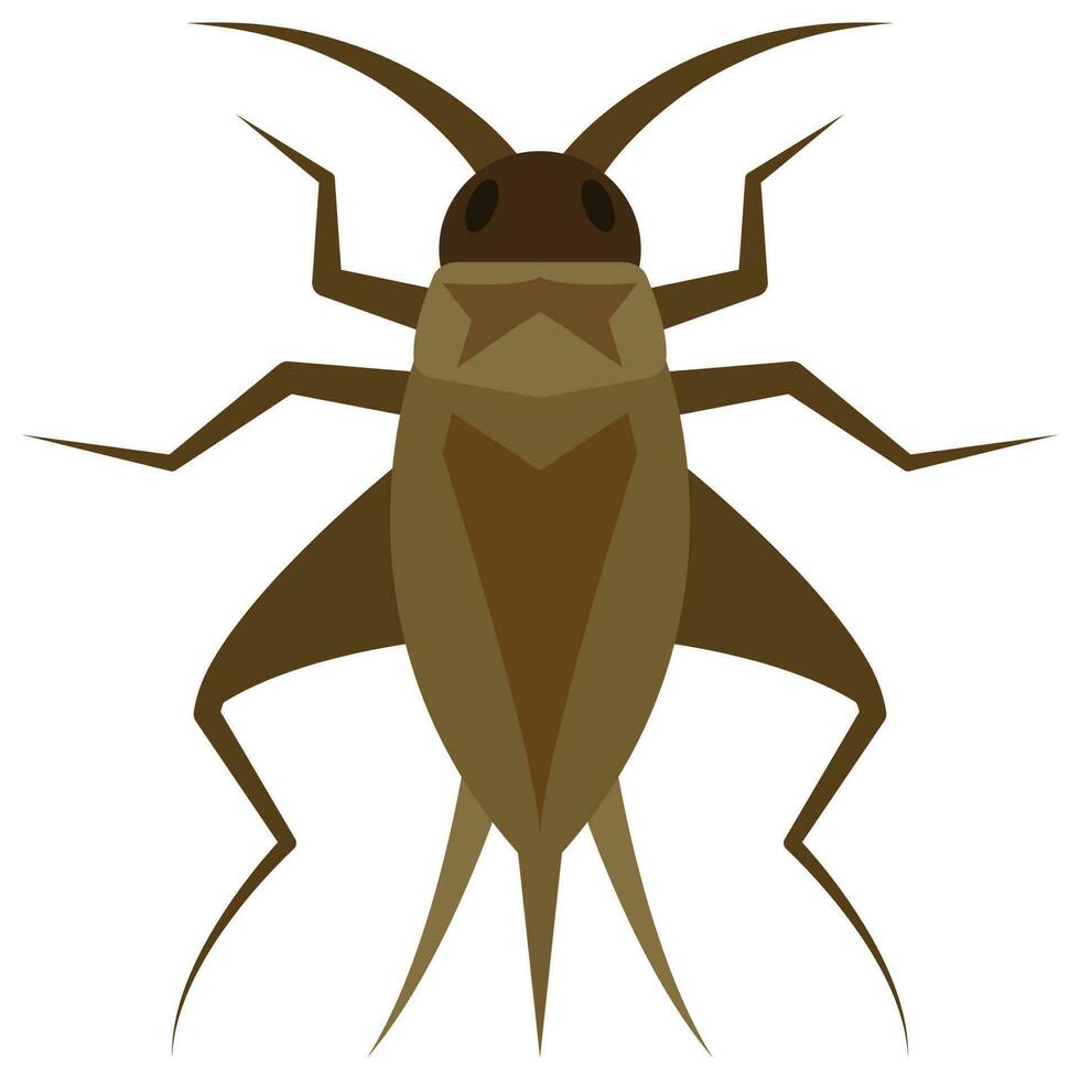 Flat color icon for cricket bug. vector